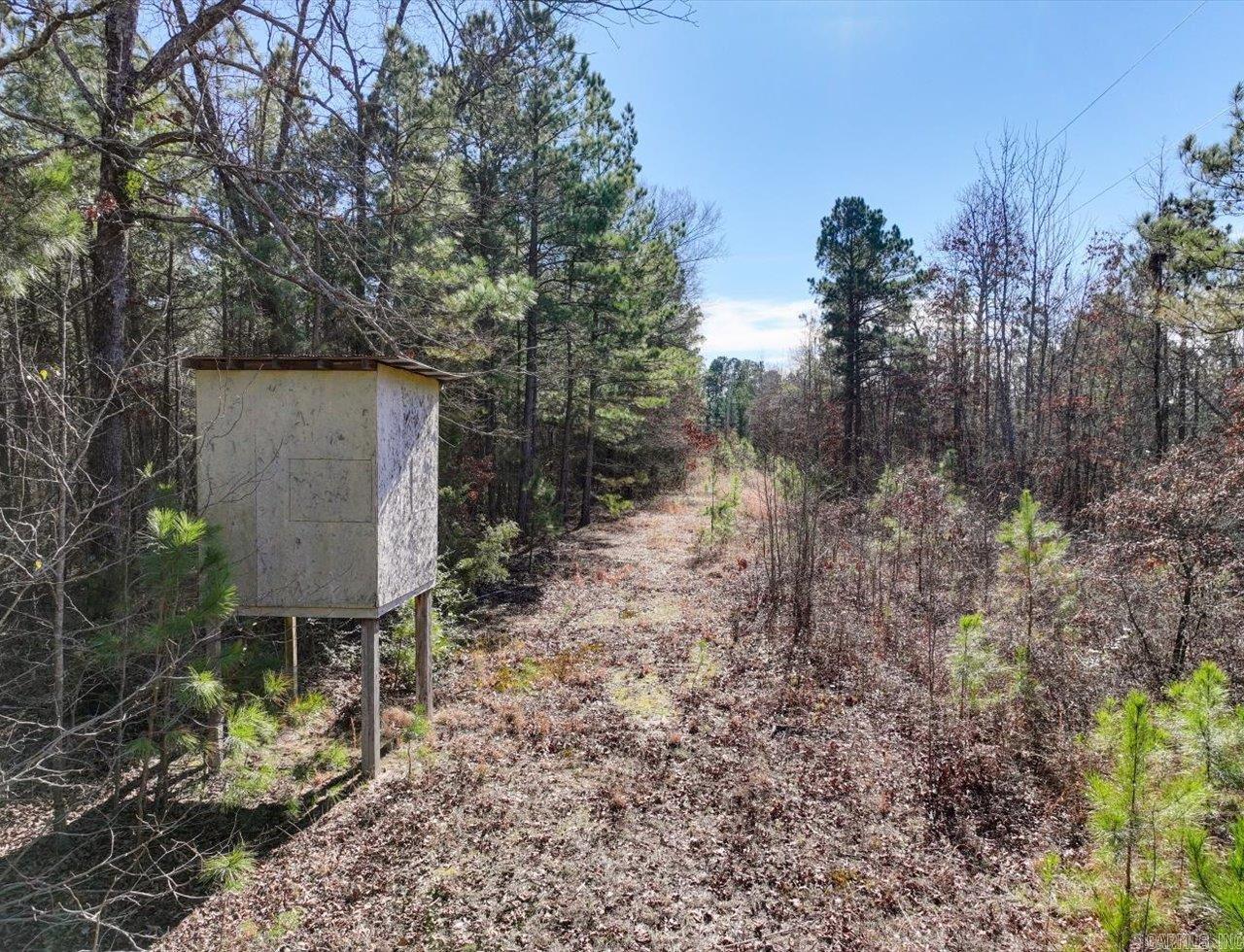 70 Pigeon Roost  Glenwood, AR