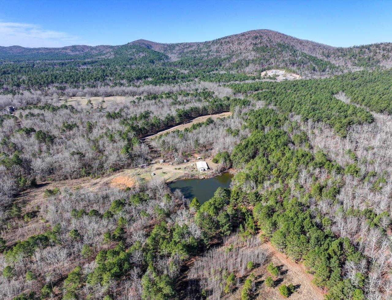 70 Pigeon Roost  Glenwood, AR