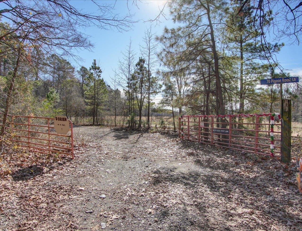 70 Pigeon Roost  Glenwood, AR