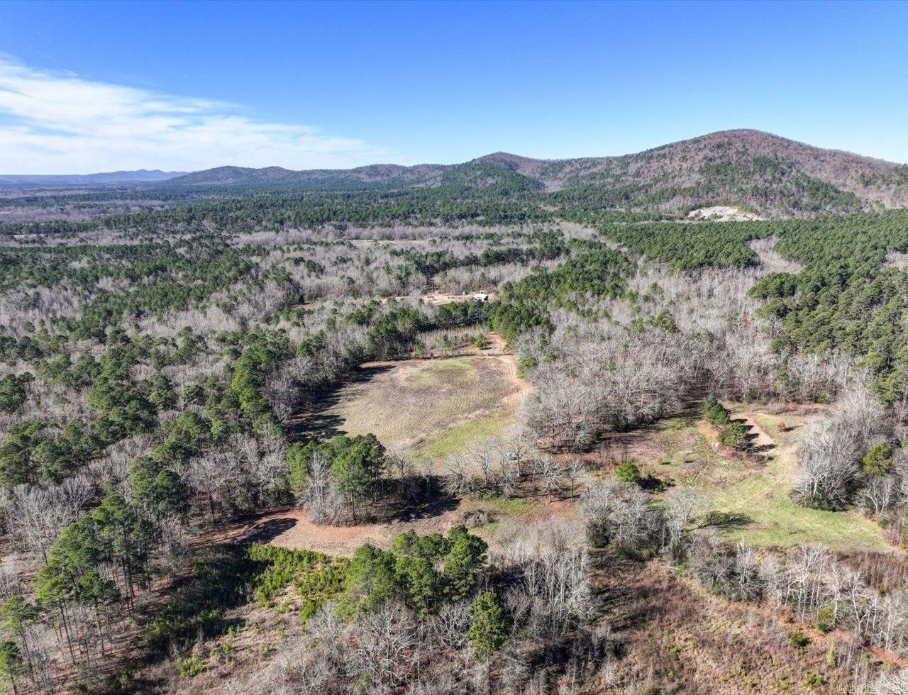 70 Pigeon Roost  Glenwood, AR