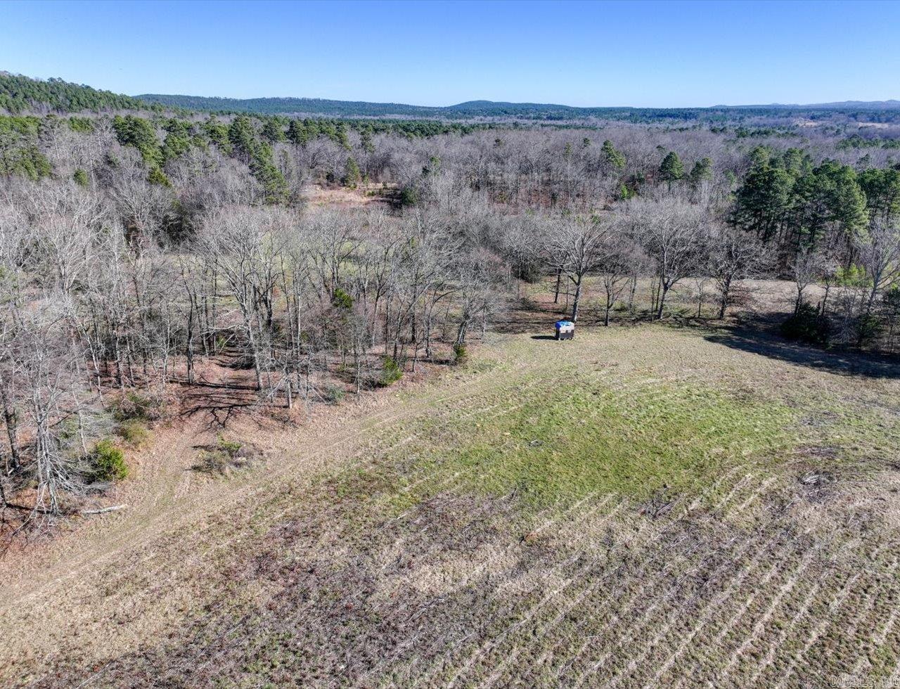 70 Pigeon Roost  Glenwood, AR