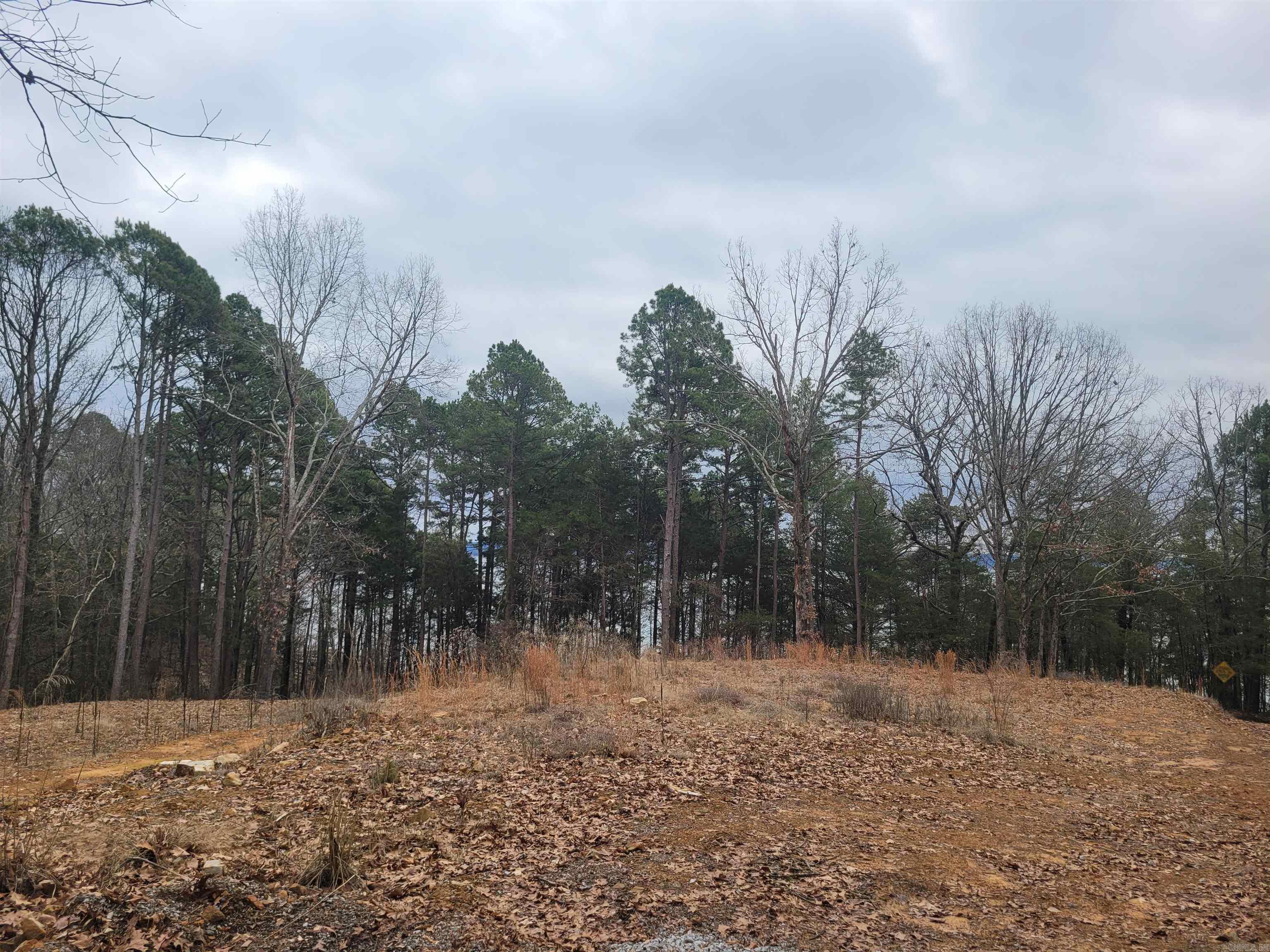 1631 Fox Chase  Greers Ferry, AR