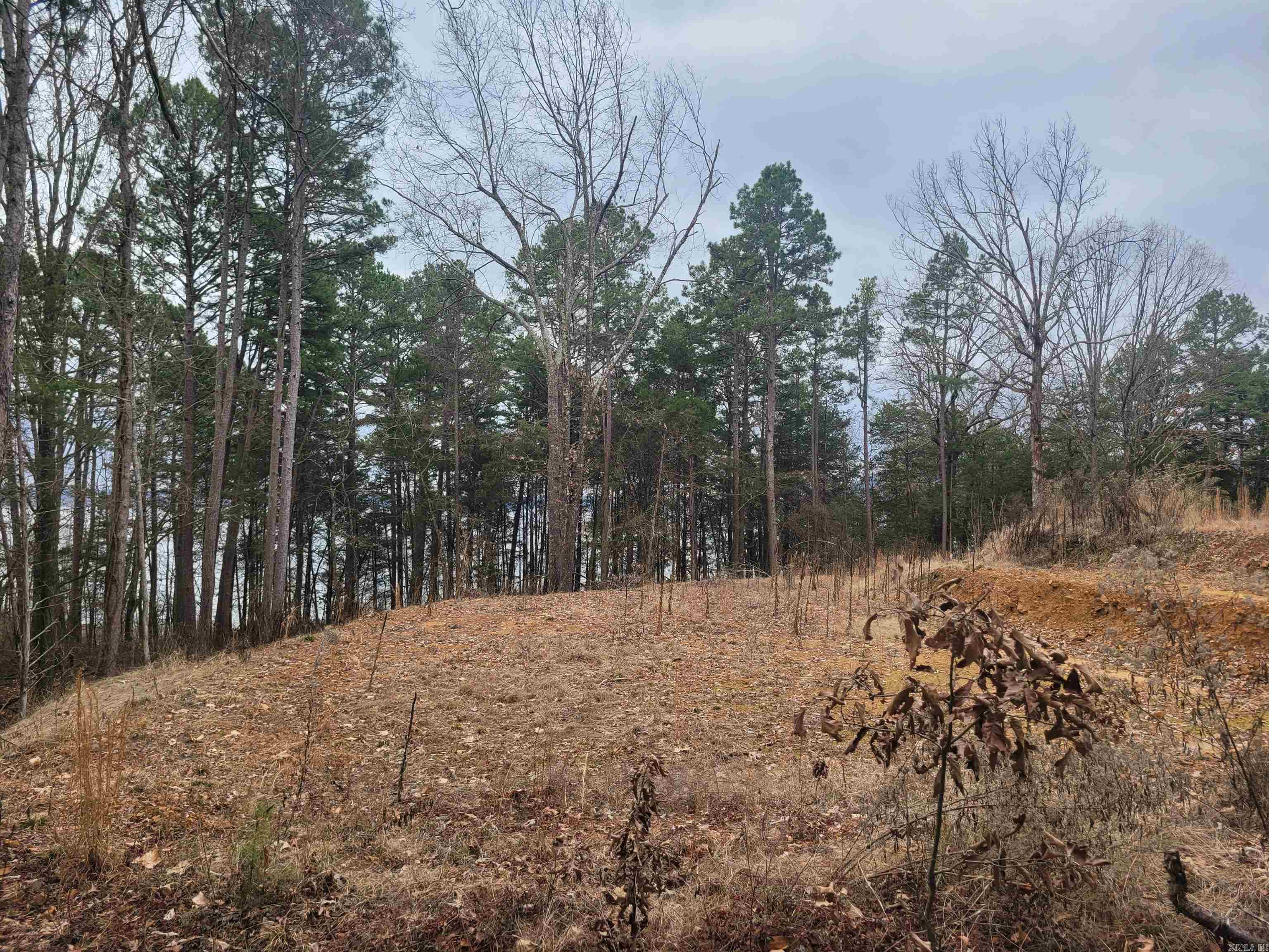 1631 Fox Chase  Greers Ferry, AR