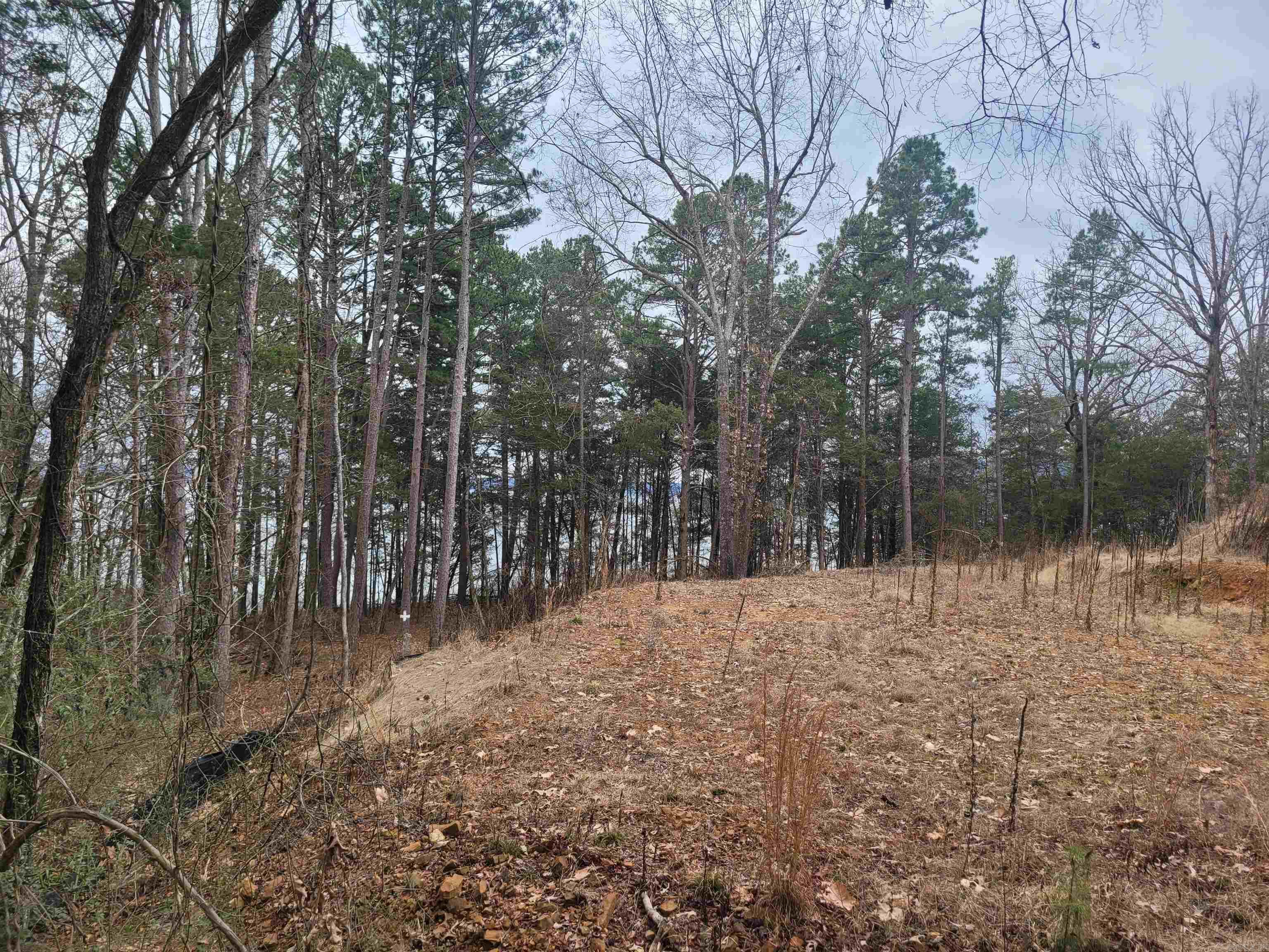 1631 Fox Chase  Greers Ferry, AR