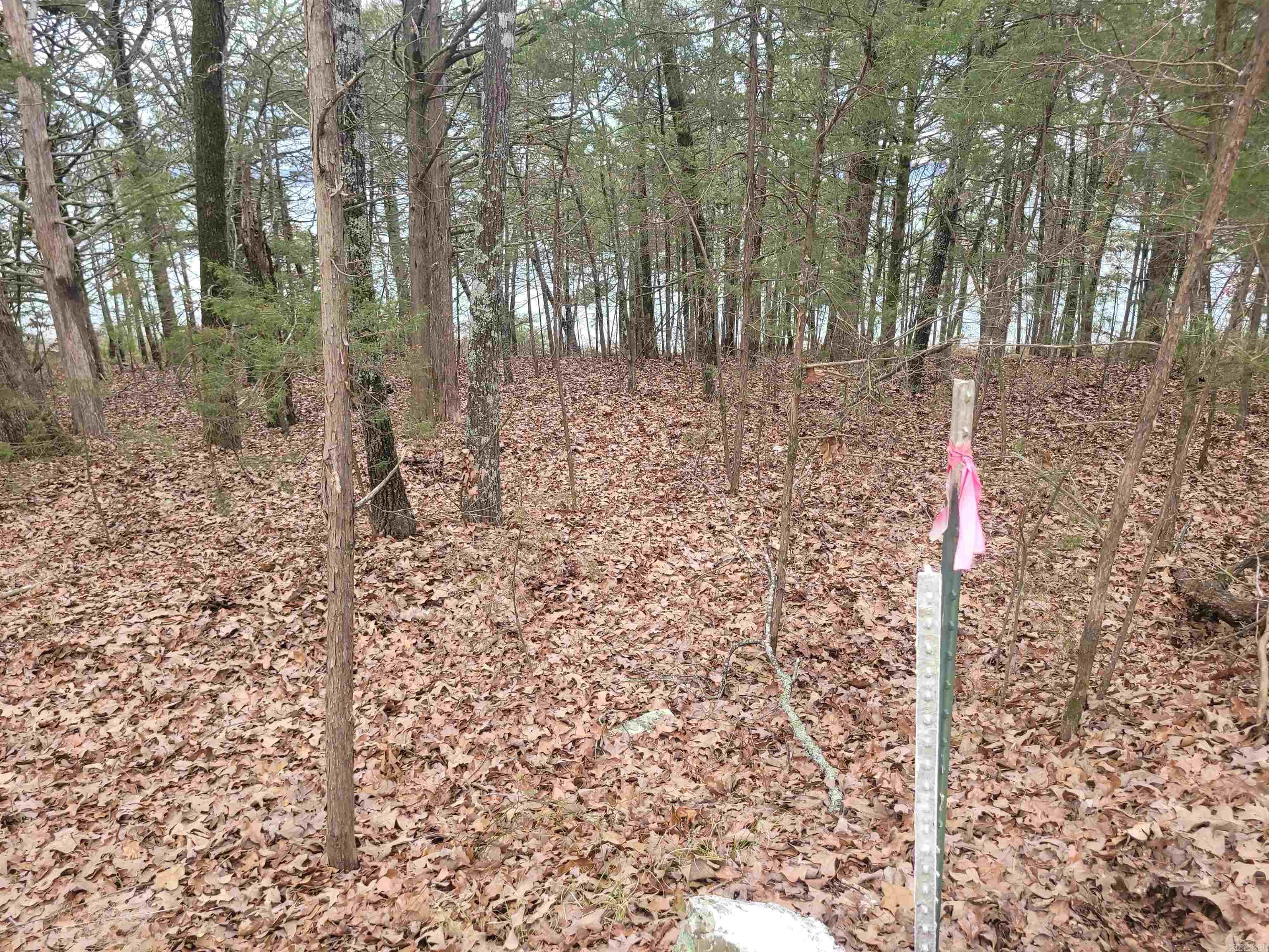 1631 Fox Chase  Greers Ferry, AR