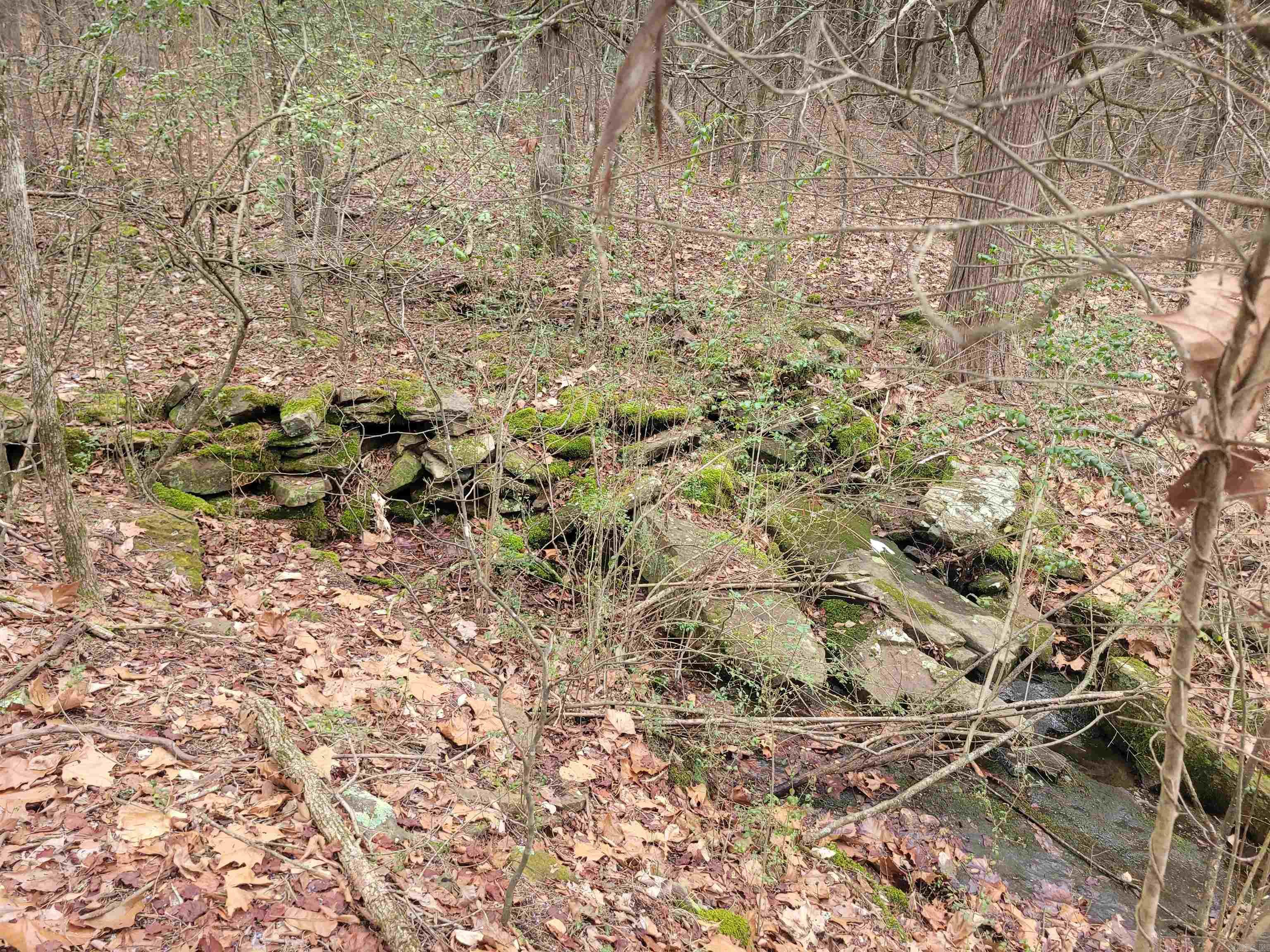 1631 Fox Chase  Greers Ferry, AR