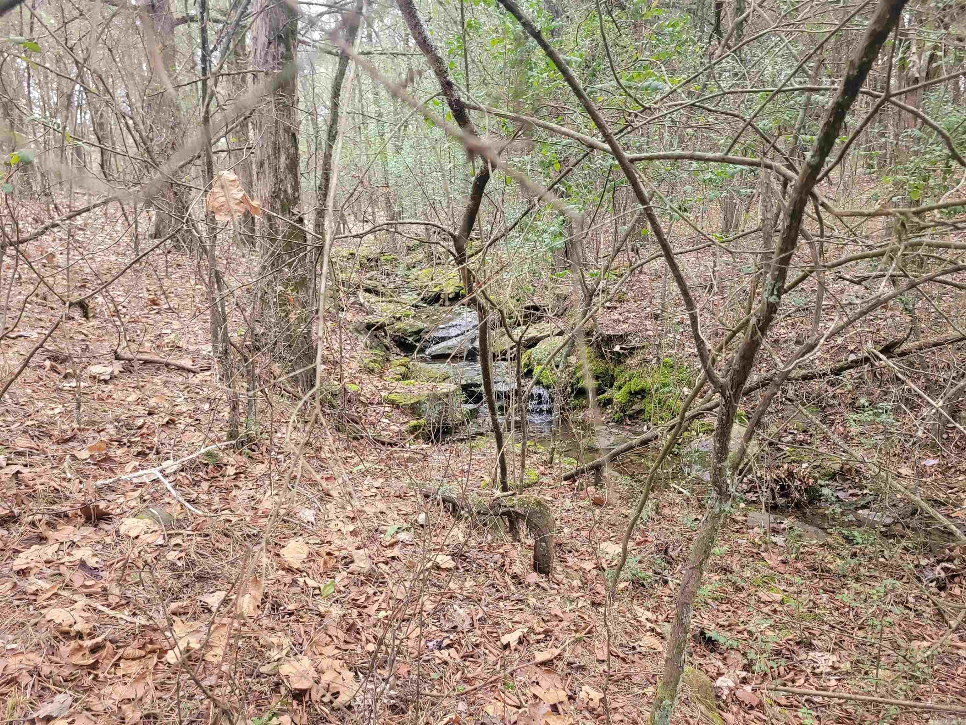 1631 Fox Chase  Greers Ferry, AR