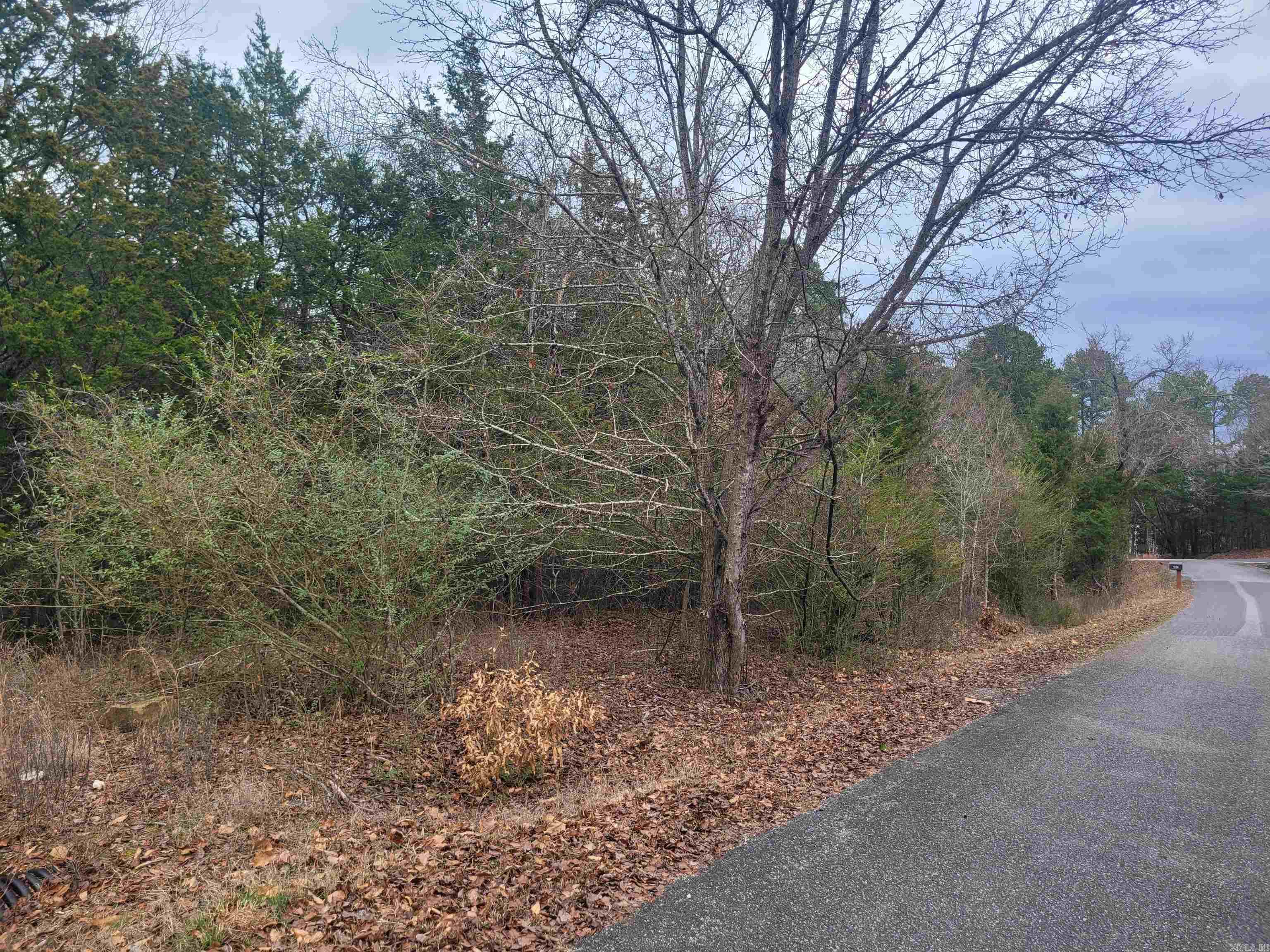 1631 Fox Chase  Greers Ferry, AR