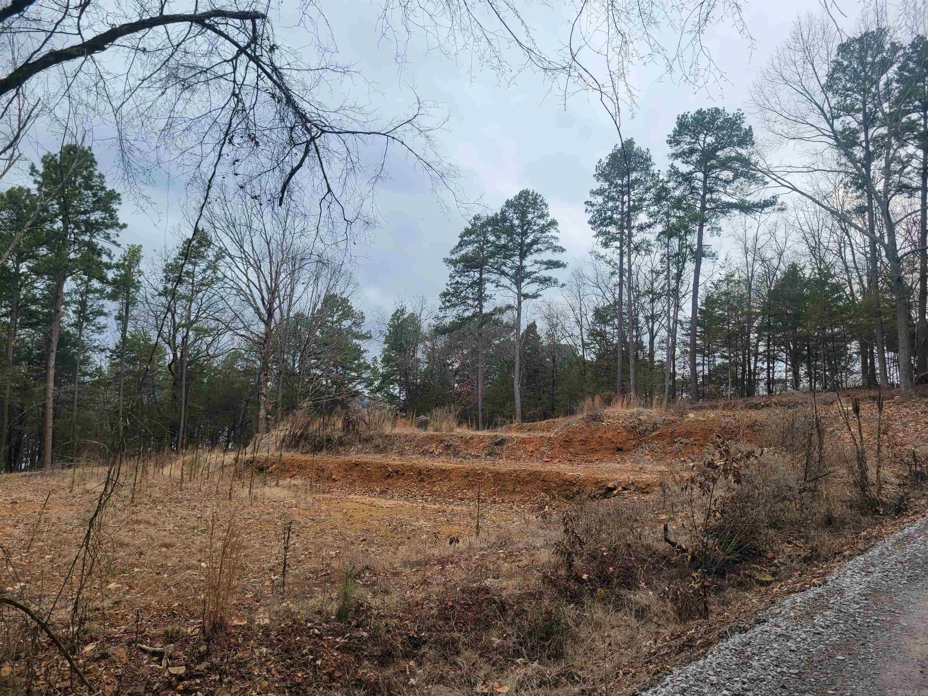 1631 Fox Chase  Greers Ferry, AR