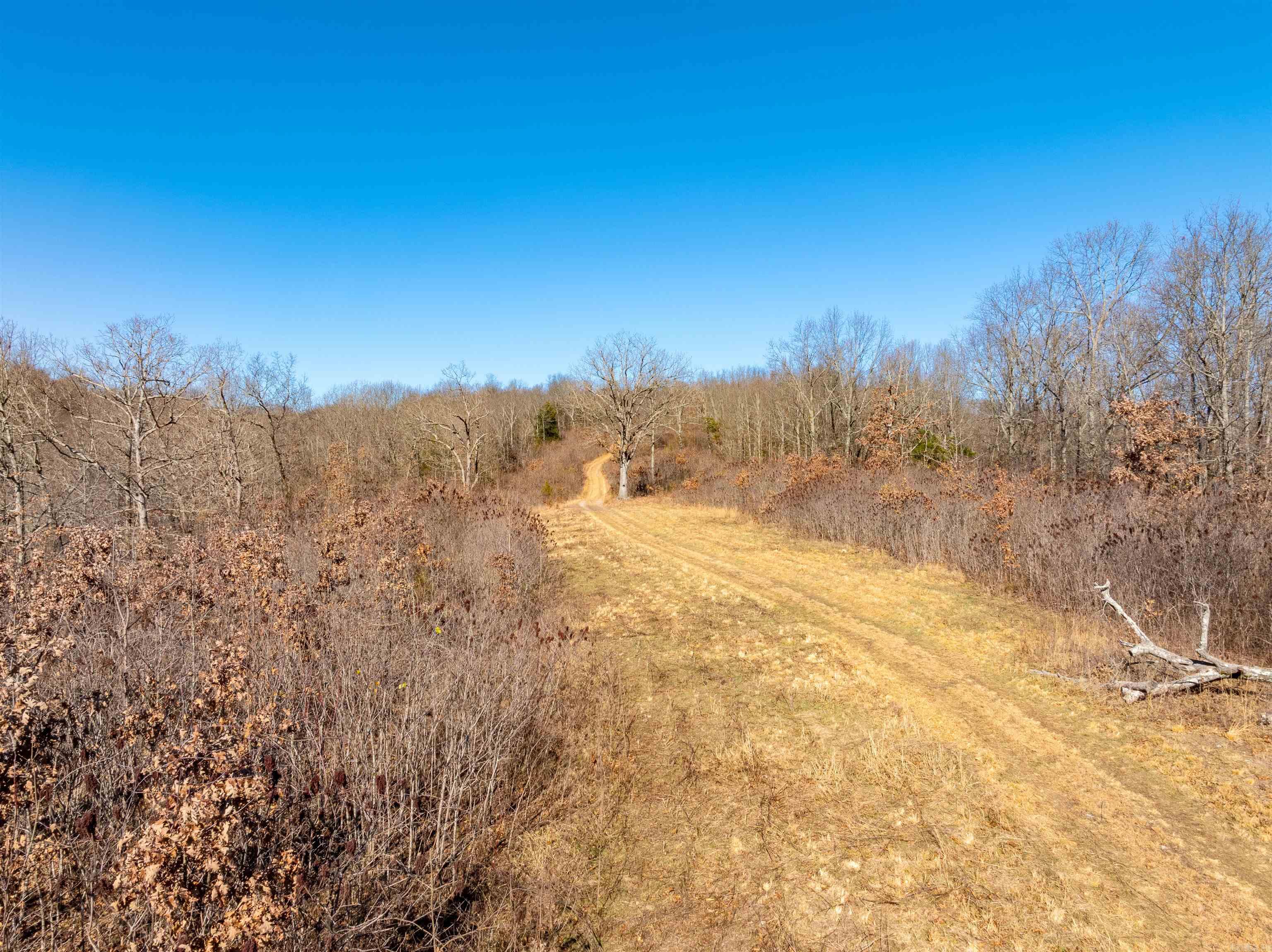 579 Falcon Way  Mount Pleasant, AR