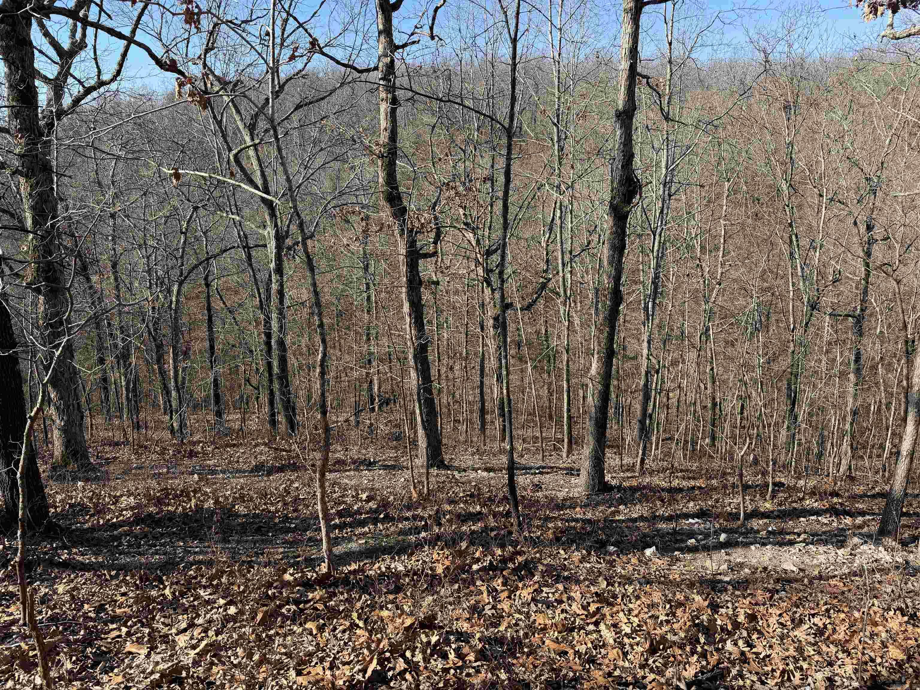 579 Falcon Way  Mount Pleasant, AR