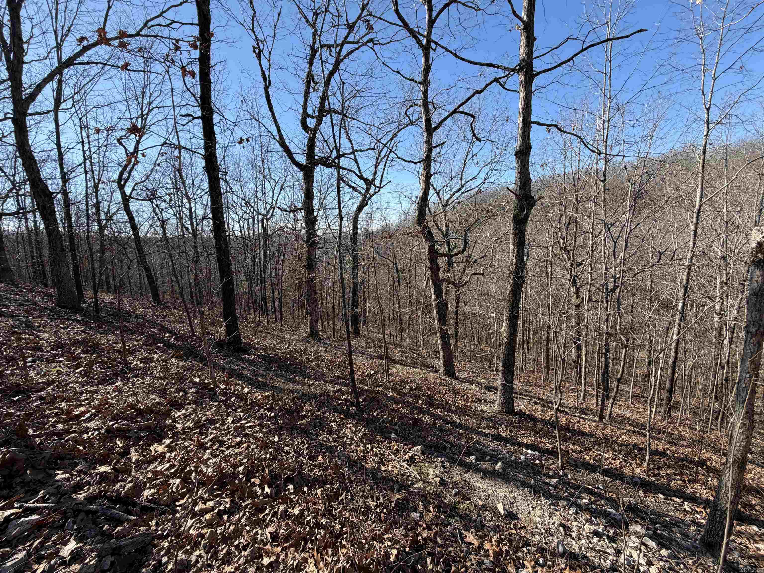 579 Falcon Way  Mount Pleasant, AR