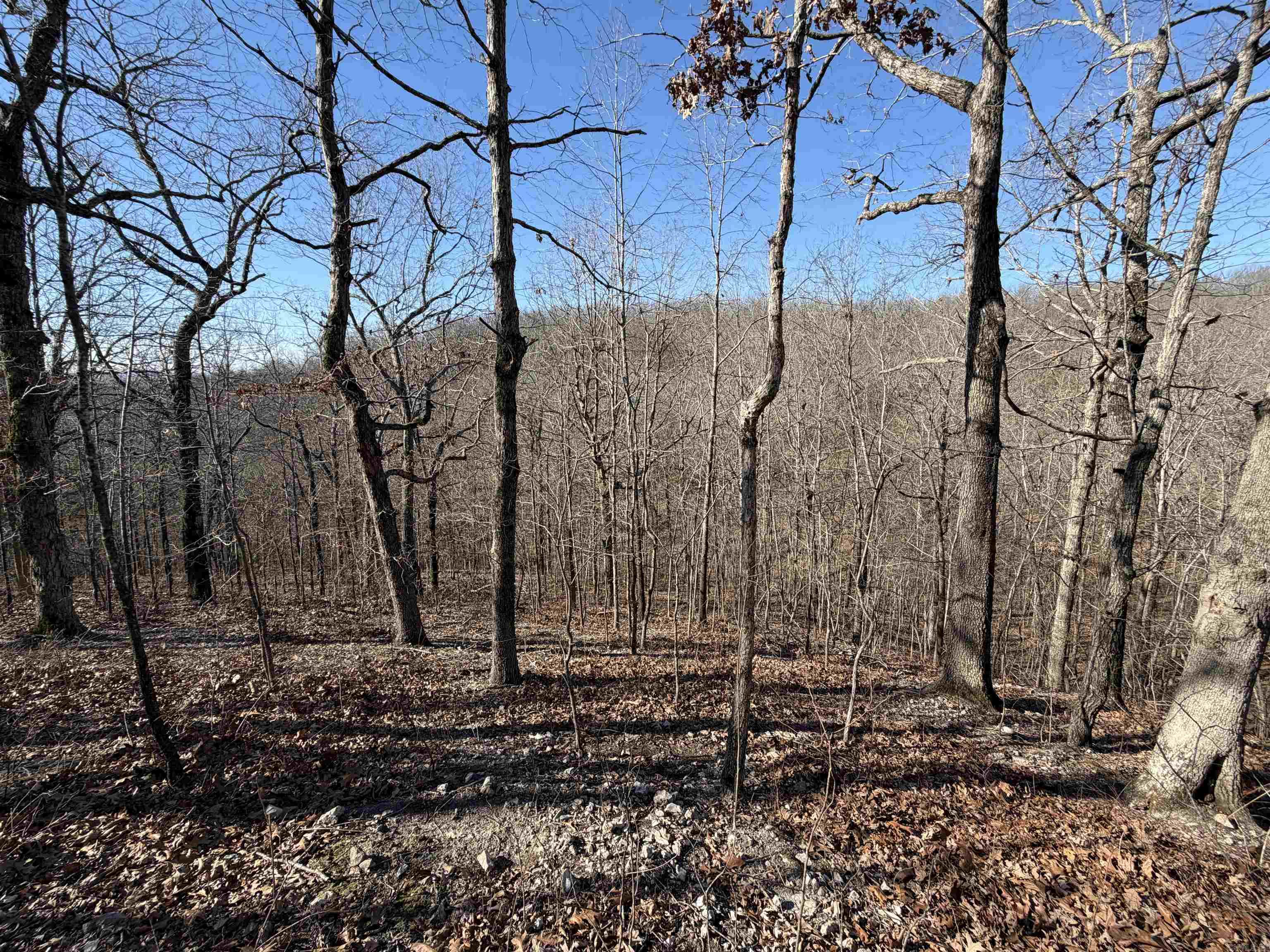 579 Falcon Way  Mount Pleasant, AR