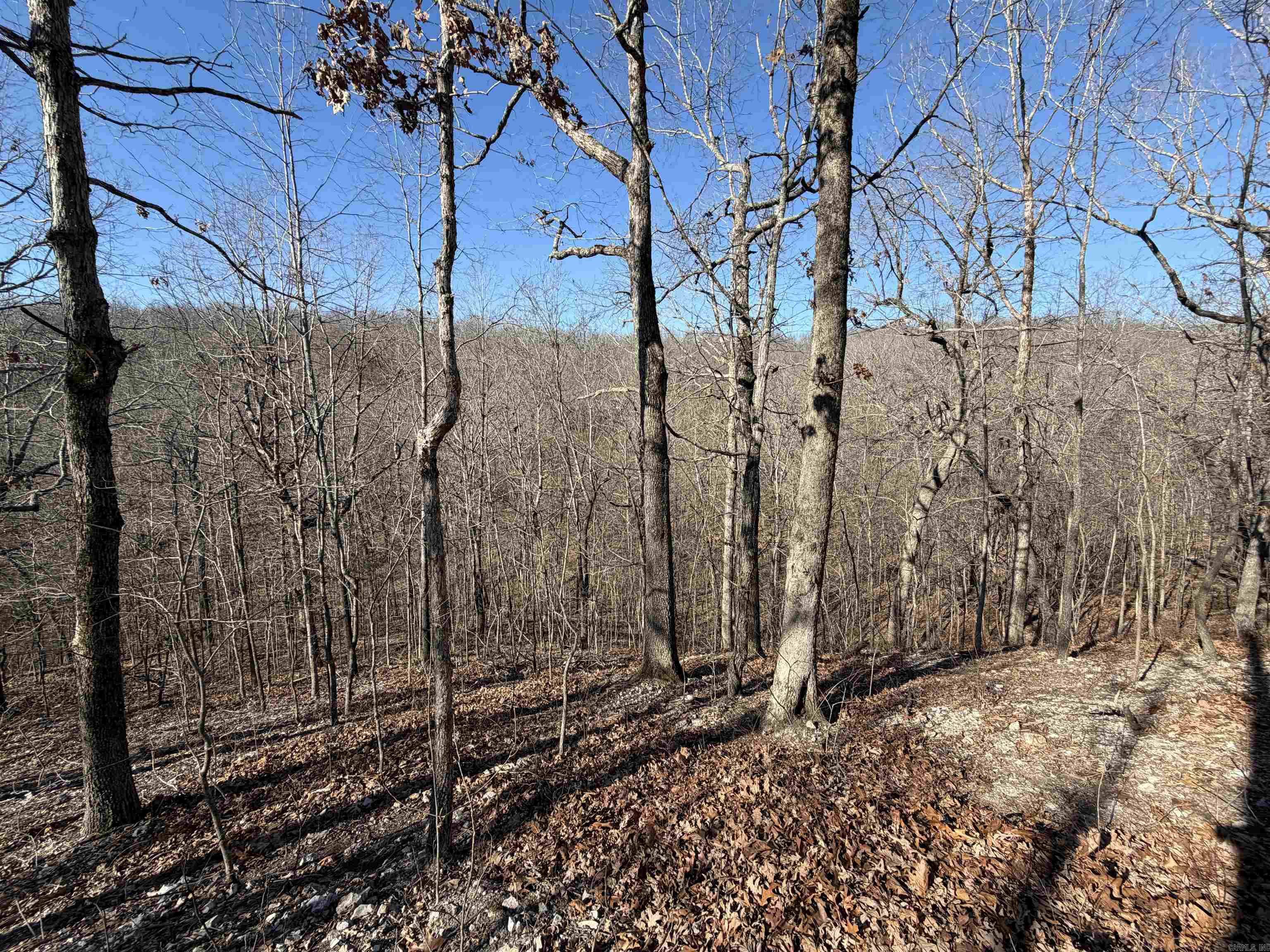 579 Falcon Way  Mount Pleasant, AR