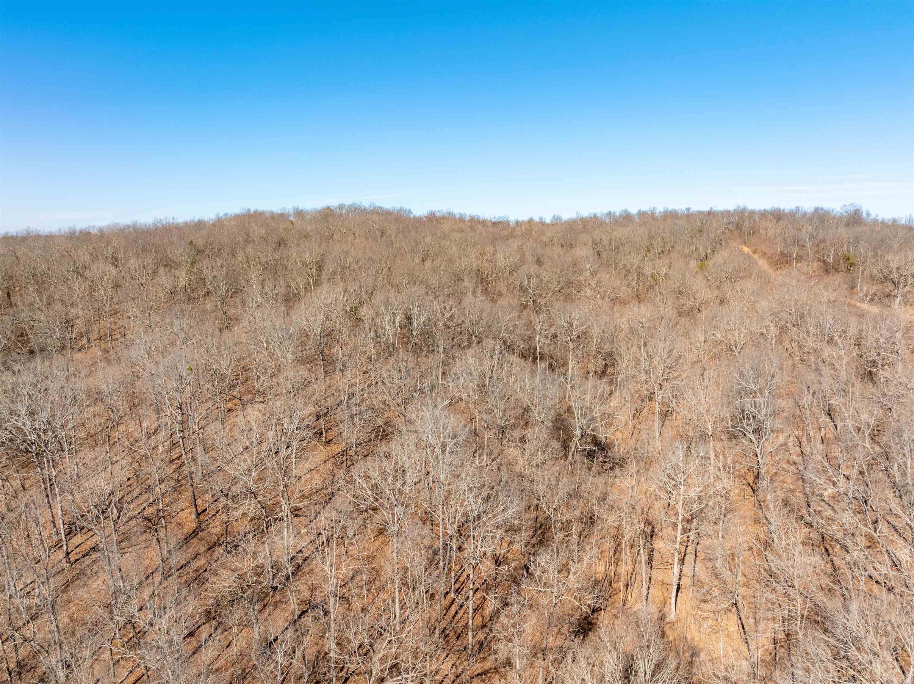 579 Falcon Way  Mount Pleasant, AR