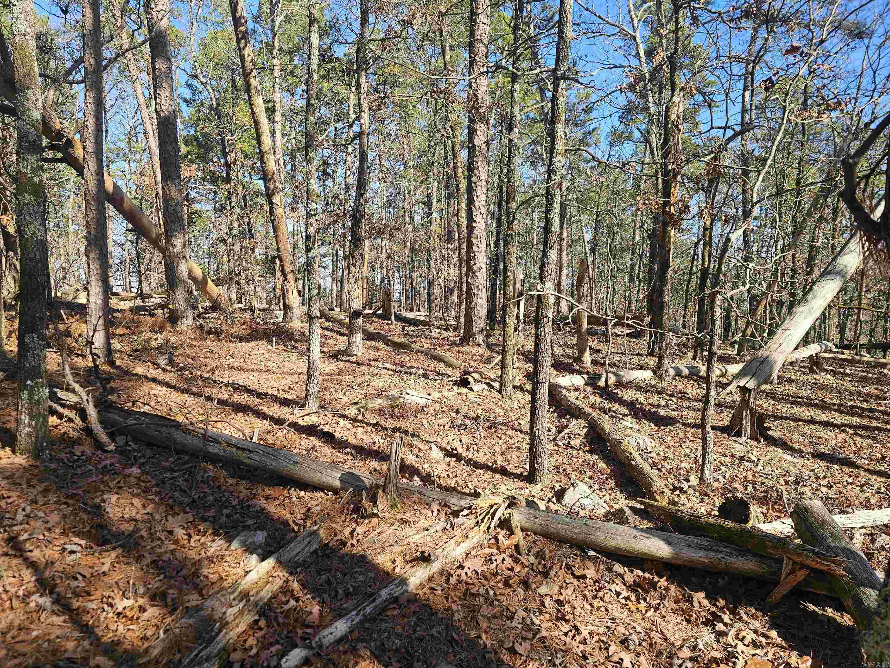 101 Mansilla Way  Hot Springs Village, AR