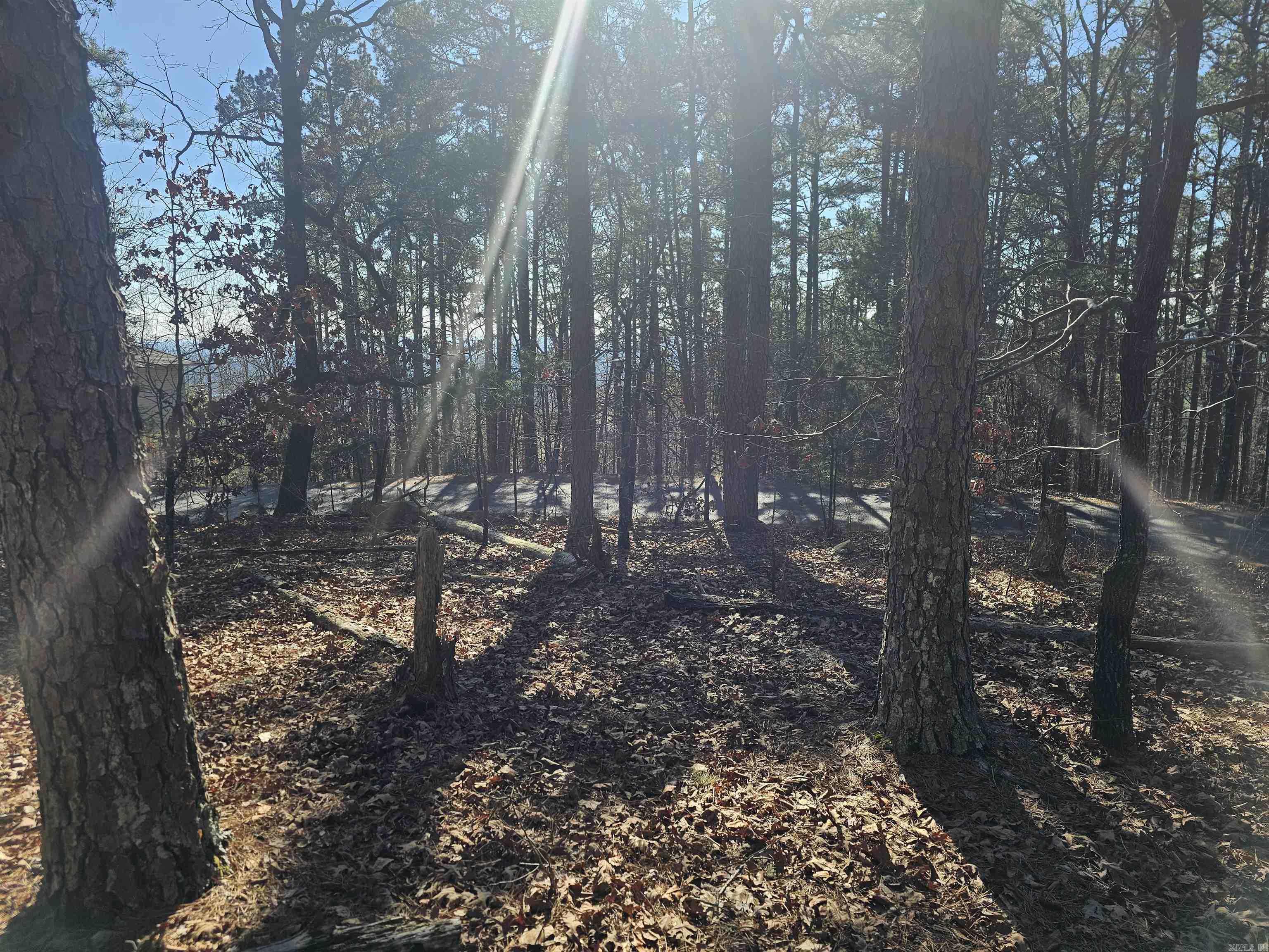 101 Mansilla Way  Hot Springs Village, AR