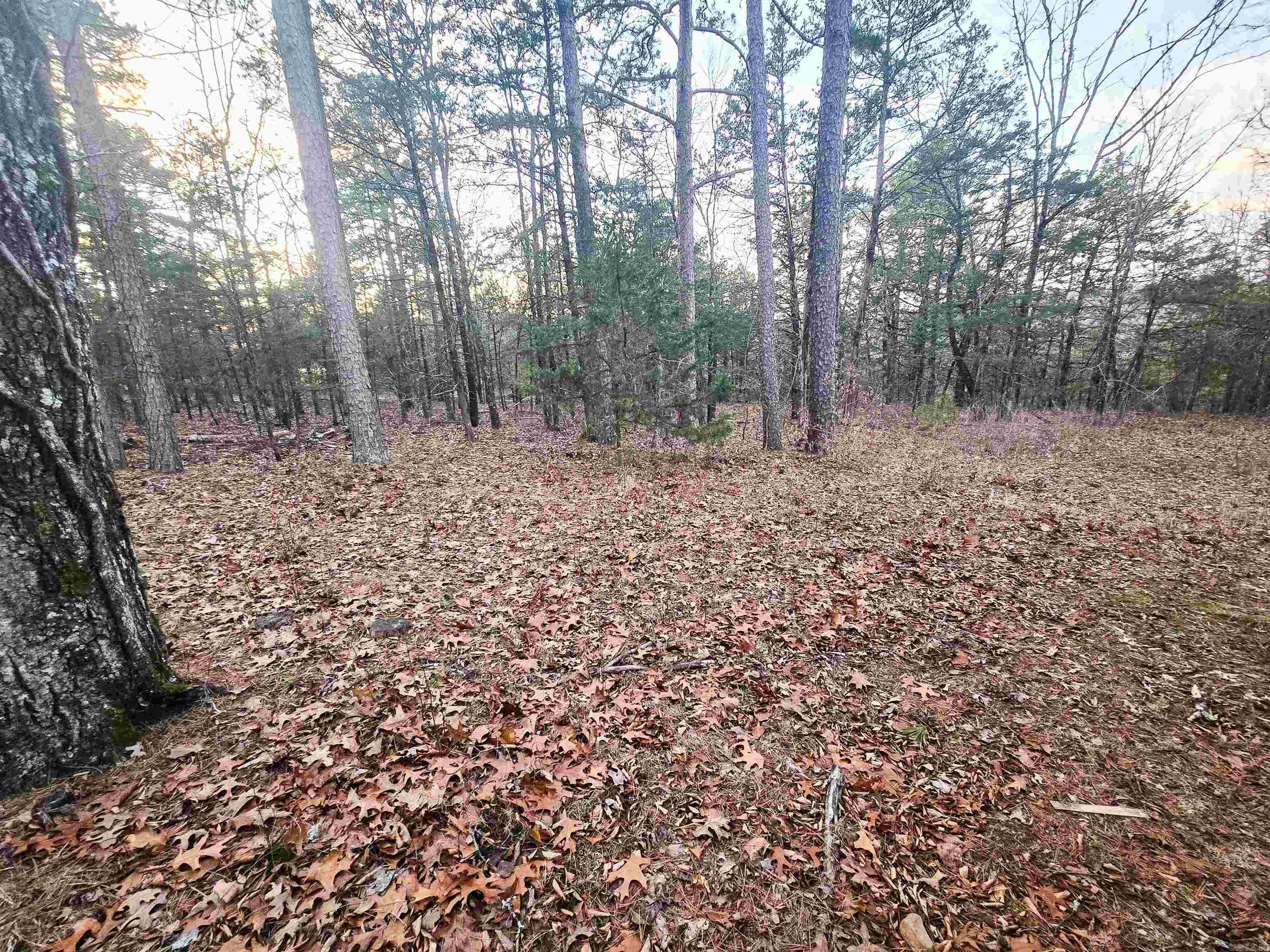 212 Rock Hill  Fairfield Bay, AR