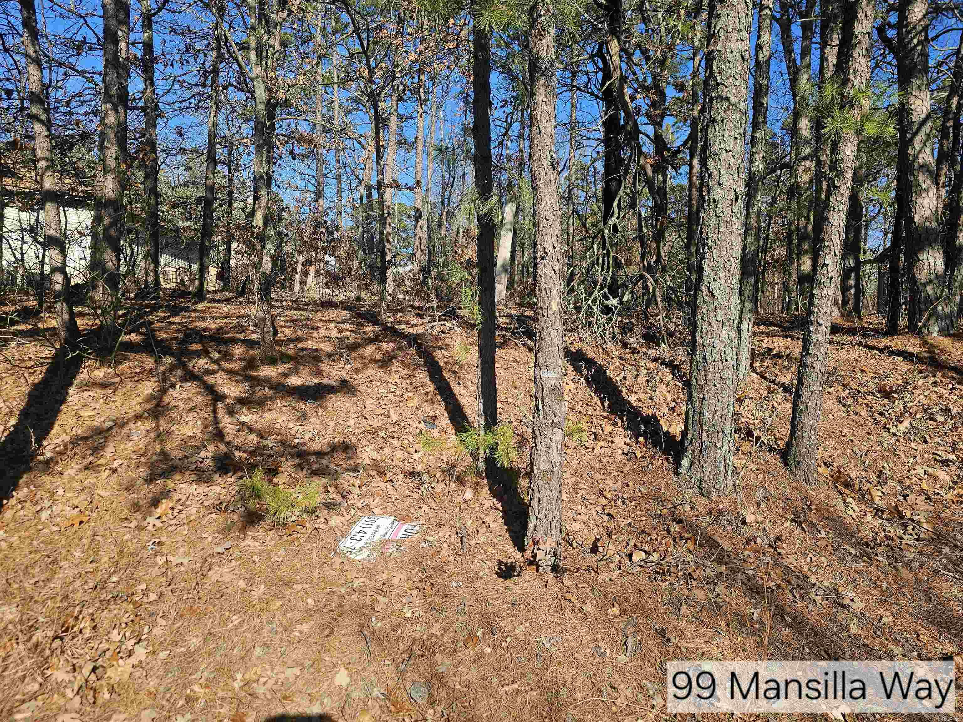 99 Mansilla Way  Hot Springs Village, AR