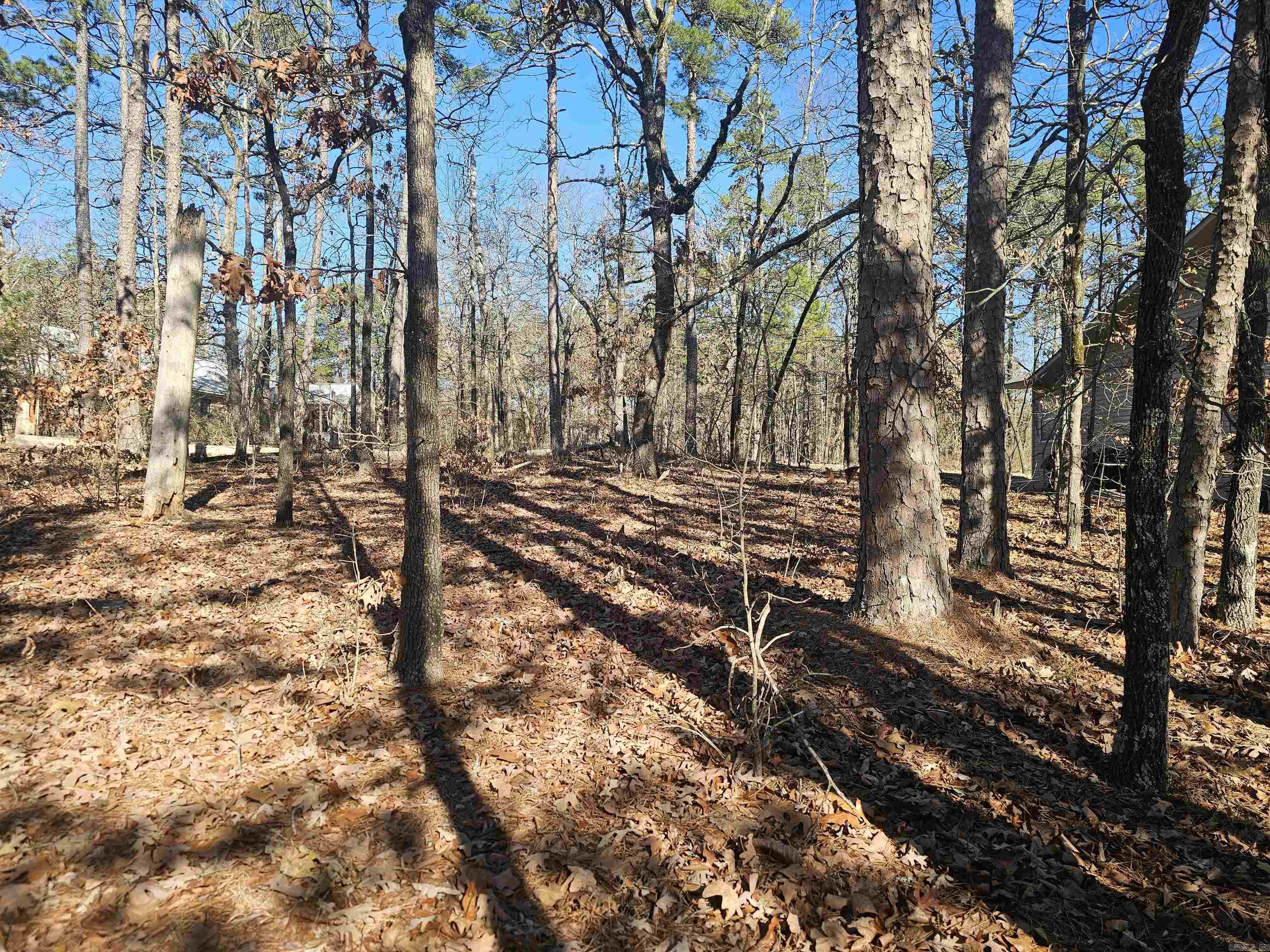 99 Mansilla Way  Hot Springs Village, AR