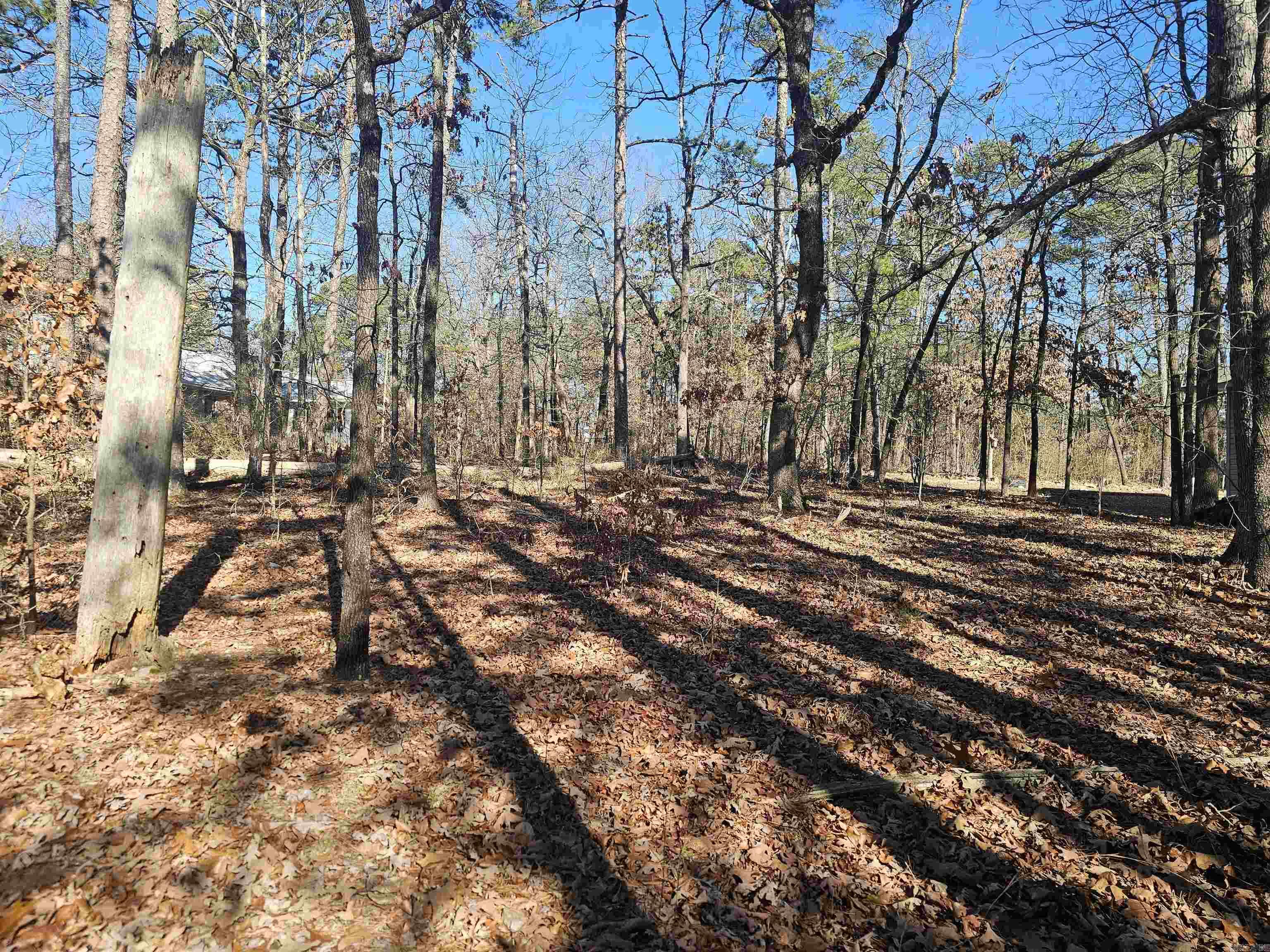 99 Mansilla Way  Hot Springs Village, AR