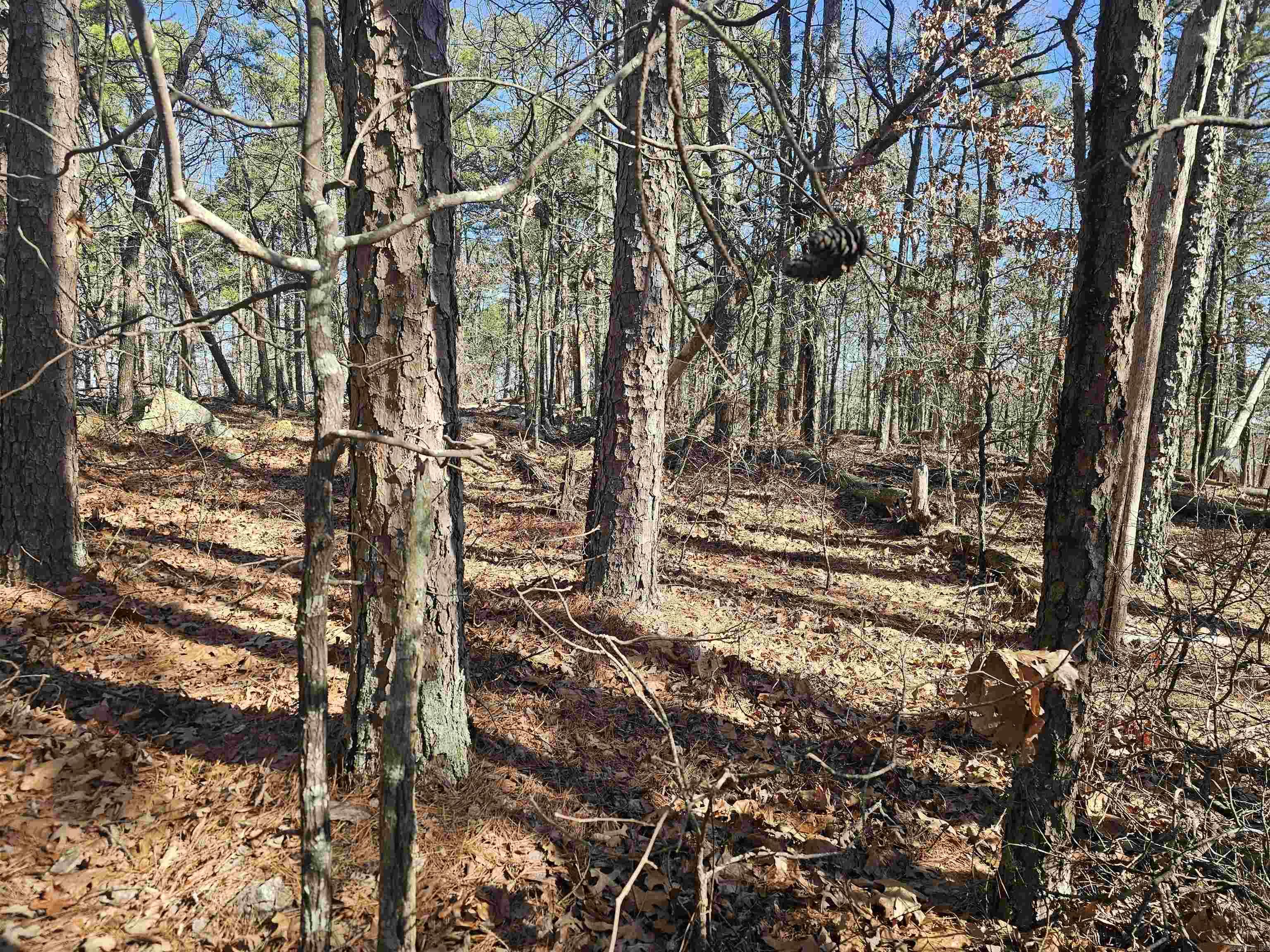 99 Mansilla Way  Hot Springs Village, AR