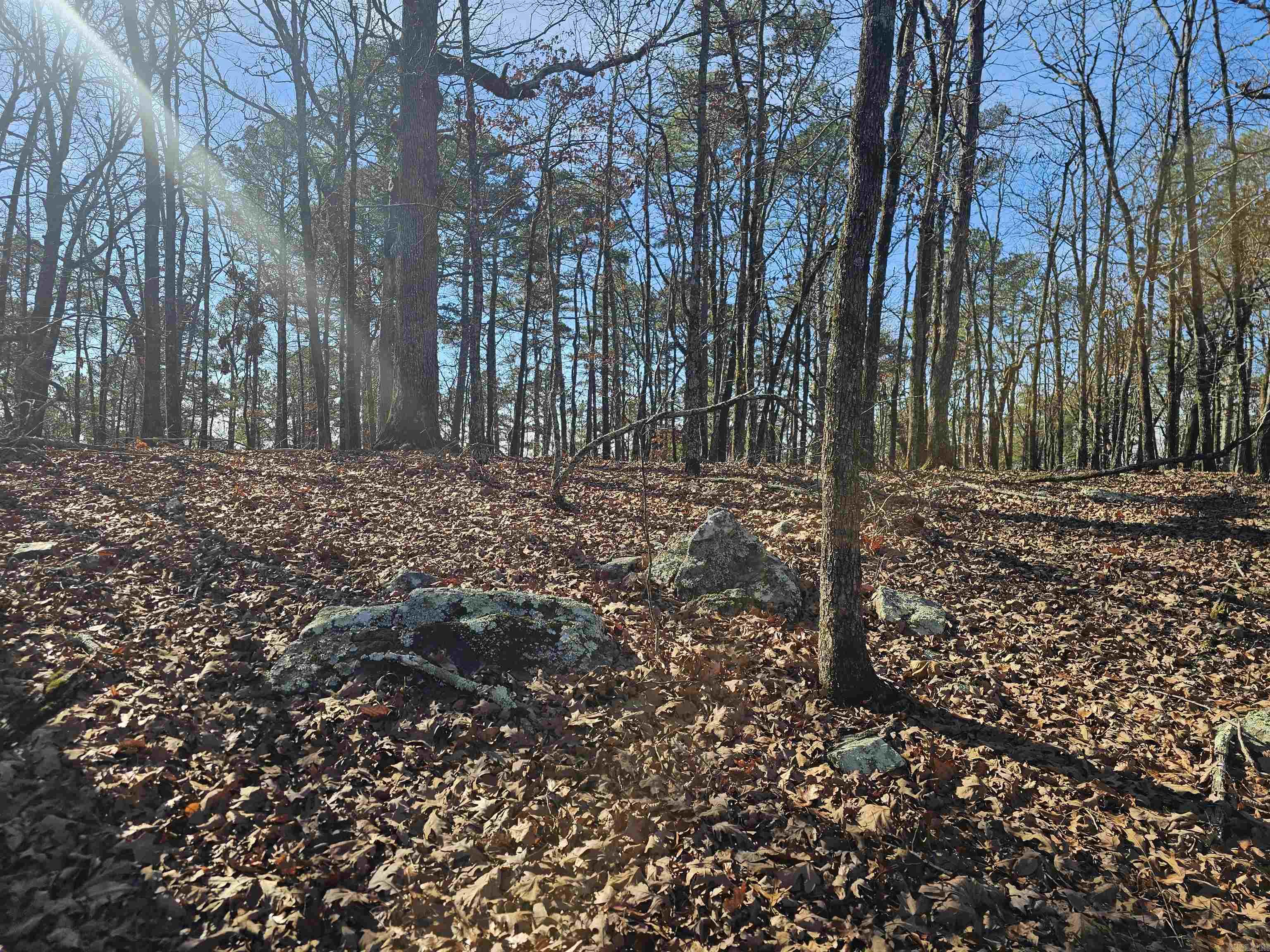 63 Medina  Hot Springs Village, AR