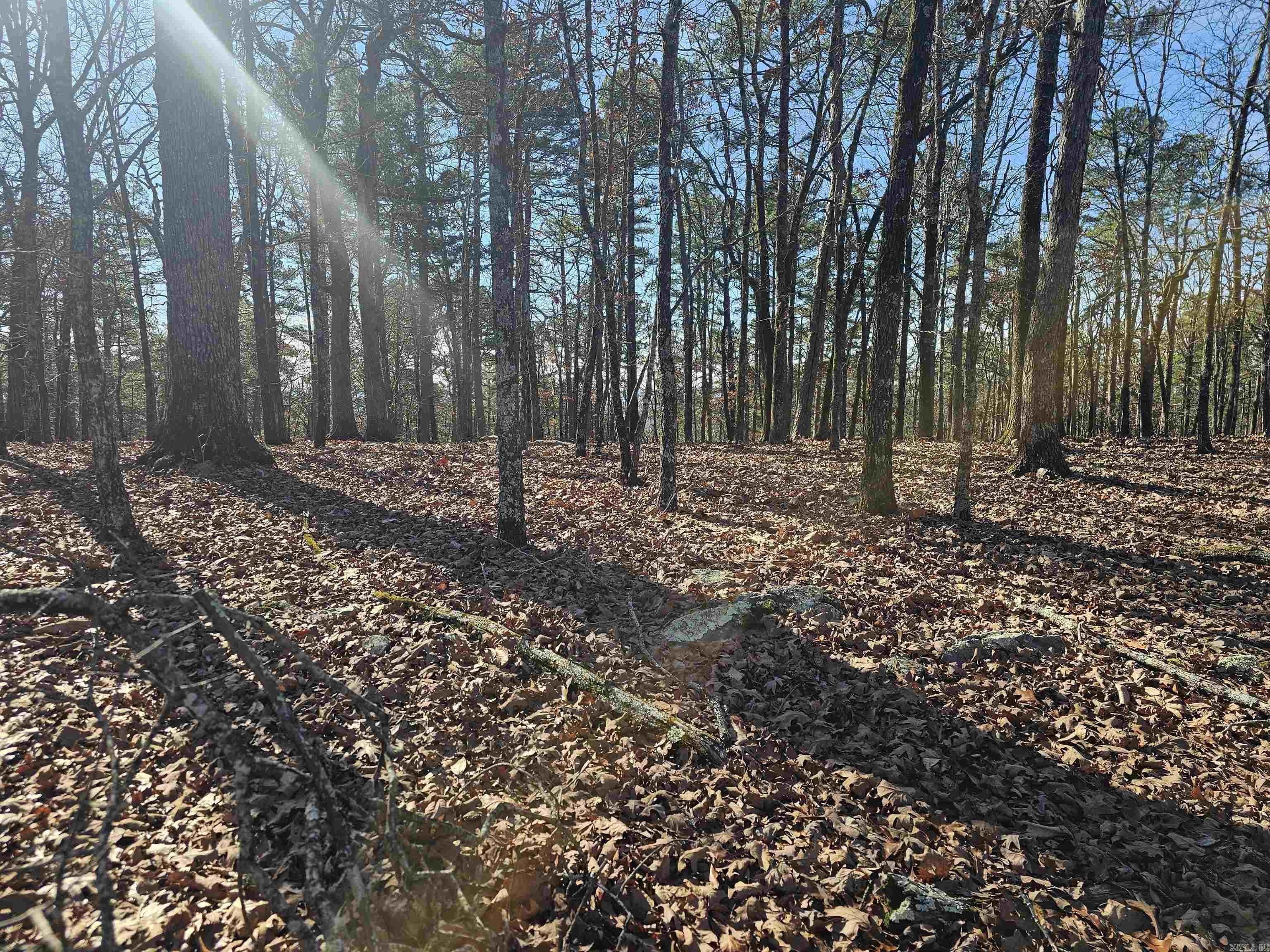 63 Medina  Hot Springs Village, AR