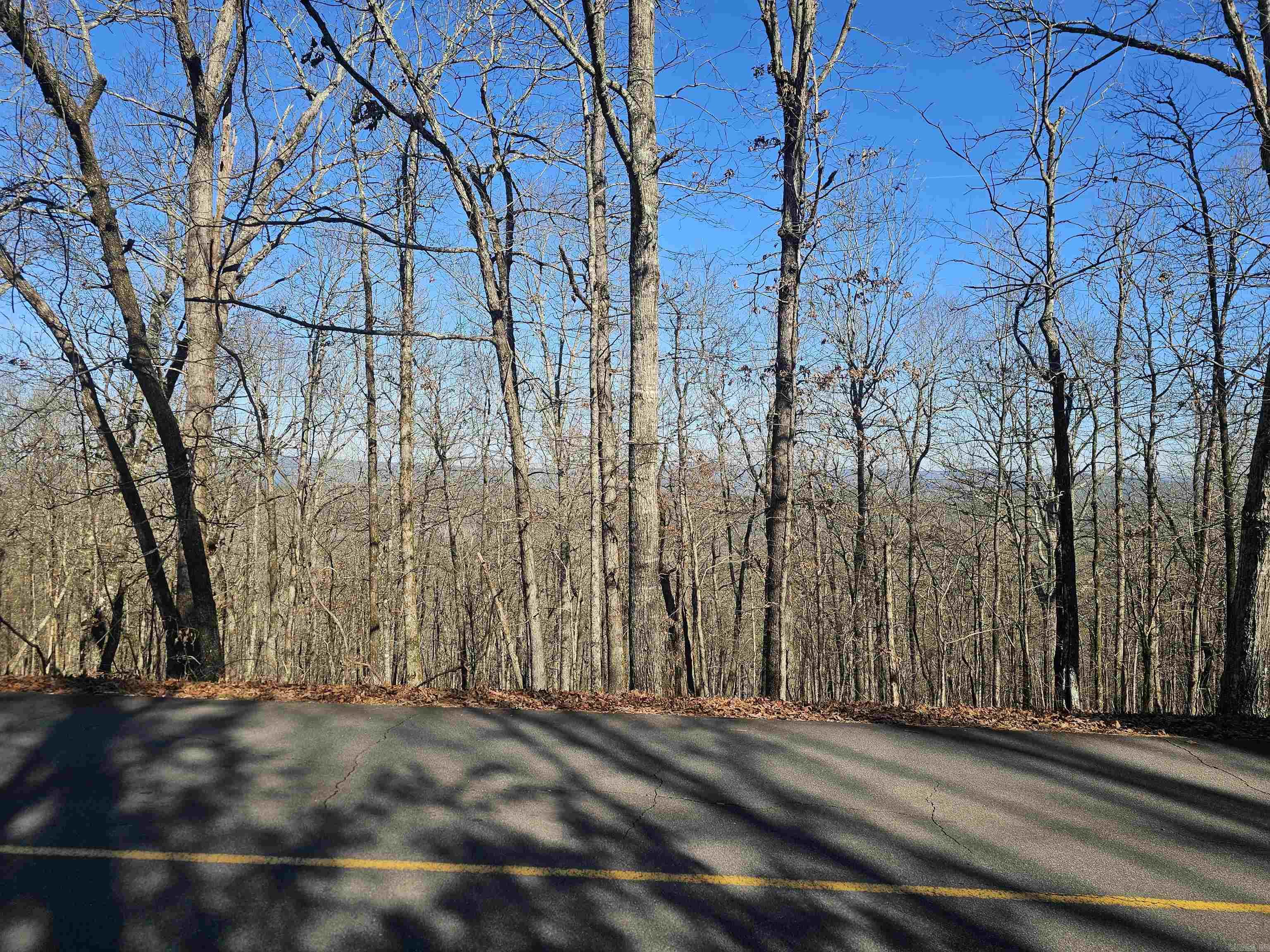 63 Medina  Hot Springs Village, AR