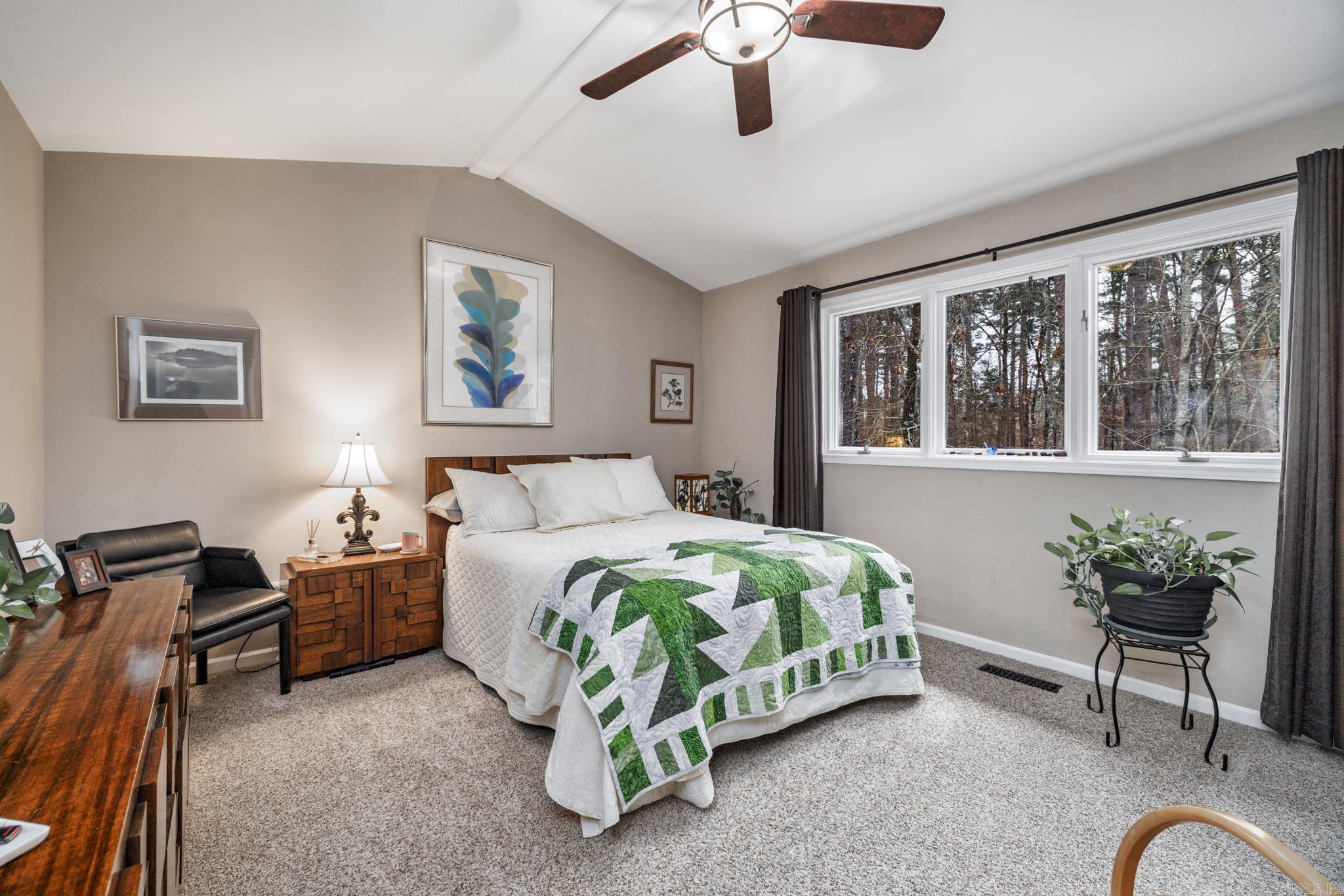 53 Alava Way  Hot Springs Village, AR