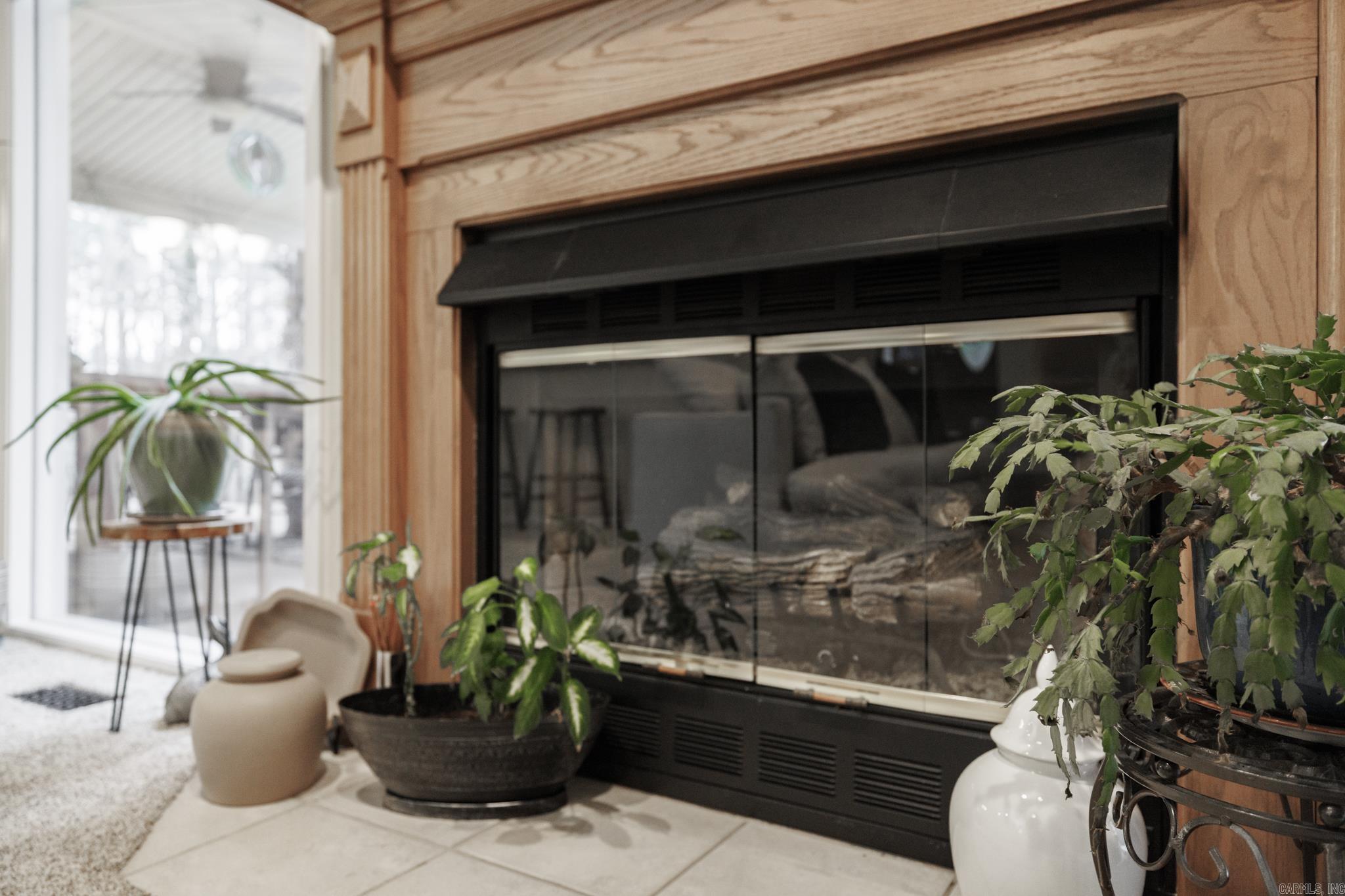 53 Alava Way  Hot Springs Village, AR