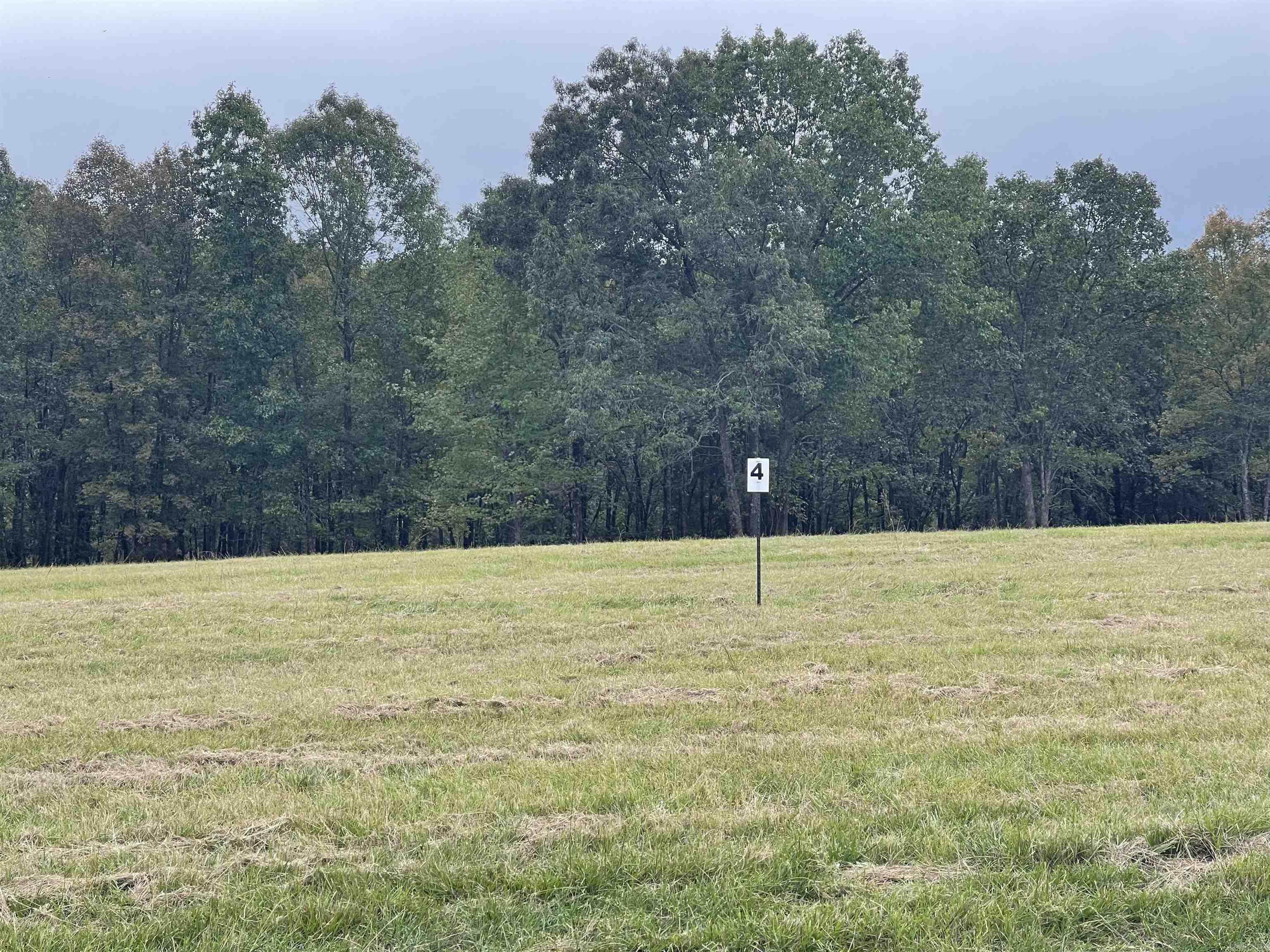 Lot 4 Hudson Pointe  Greers Ferry, AR