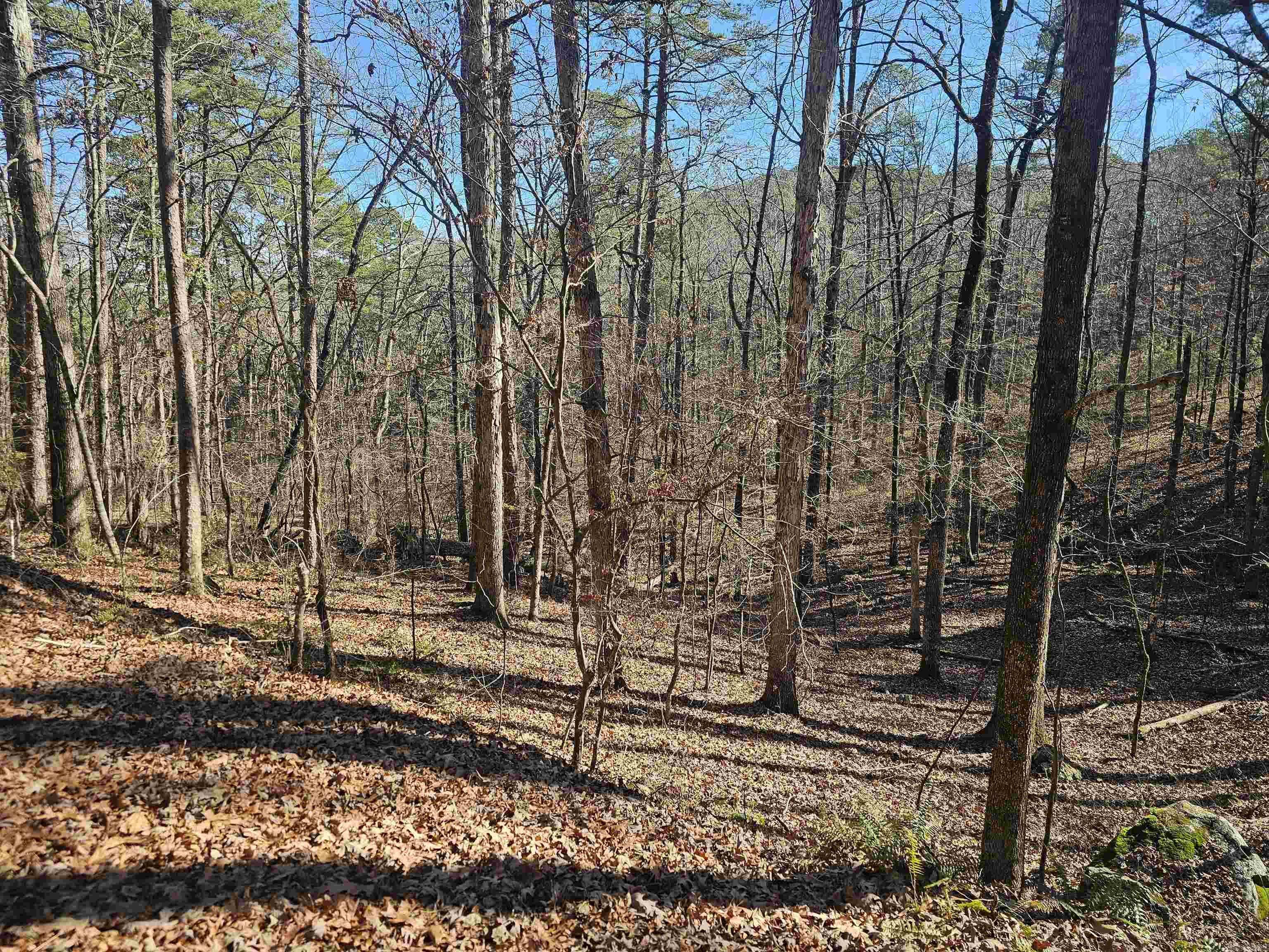 18 Mariposa Way  Hot Springs Village, AR