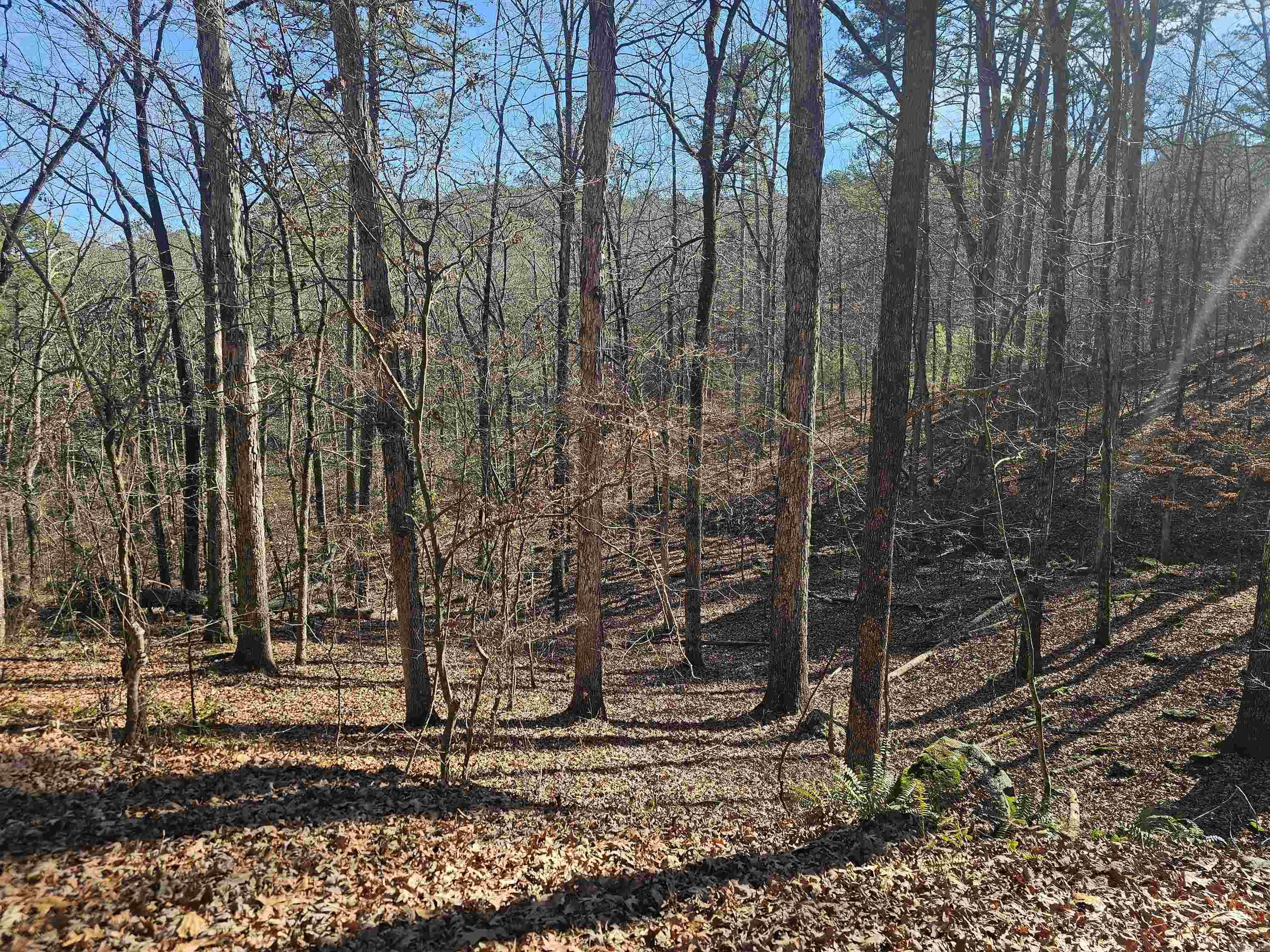 18 Mariposa Way  Hot Springs Village, AR