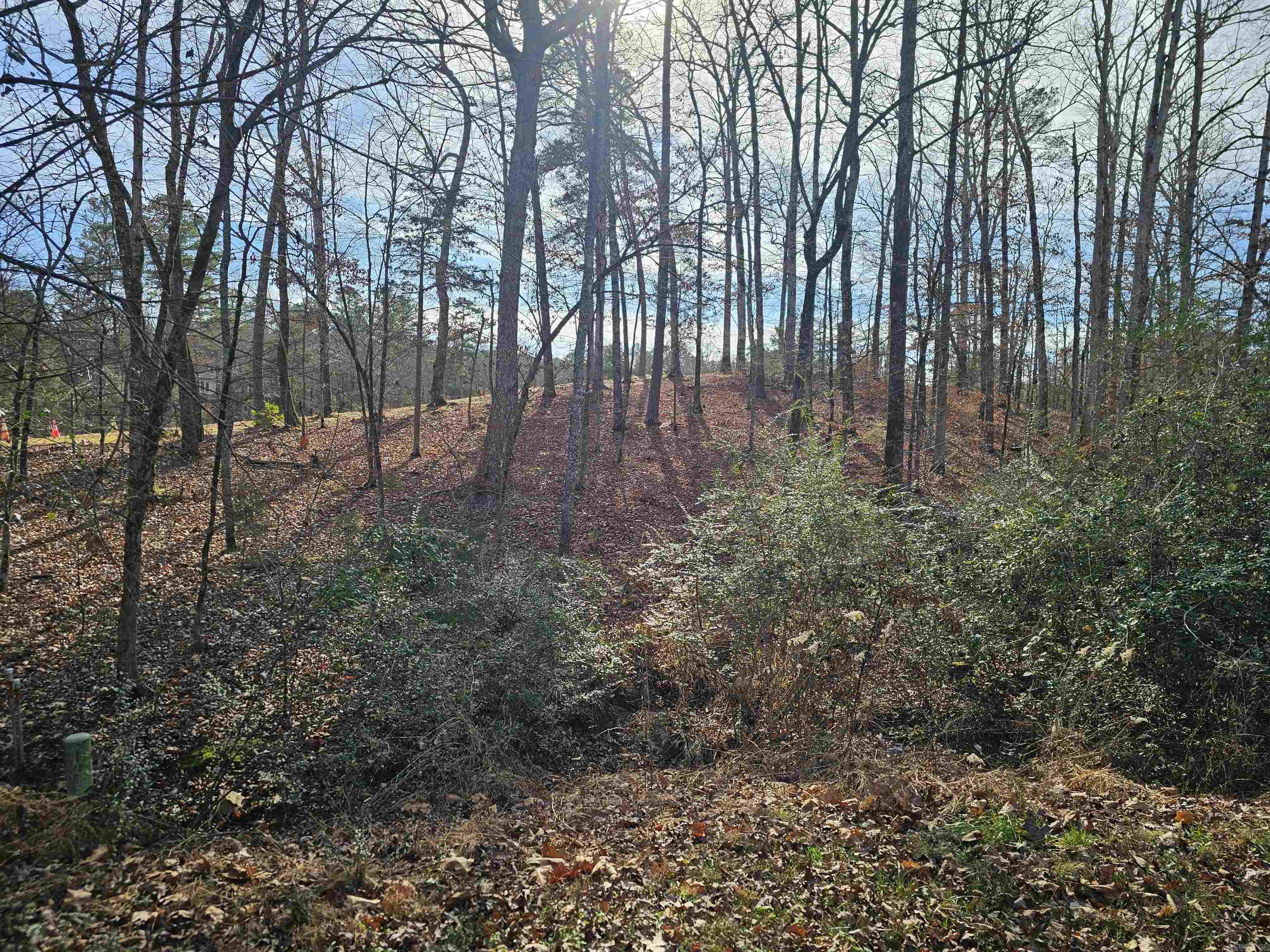 4 Reclamo  Hot Springs Village, AR