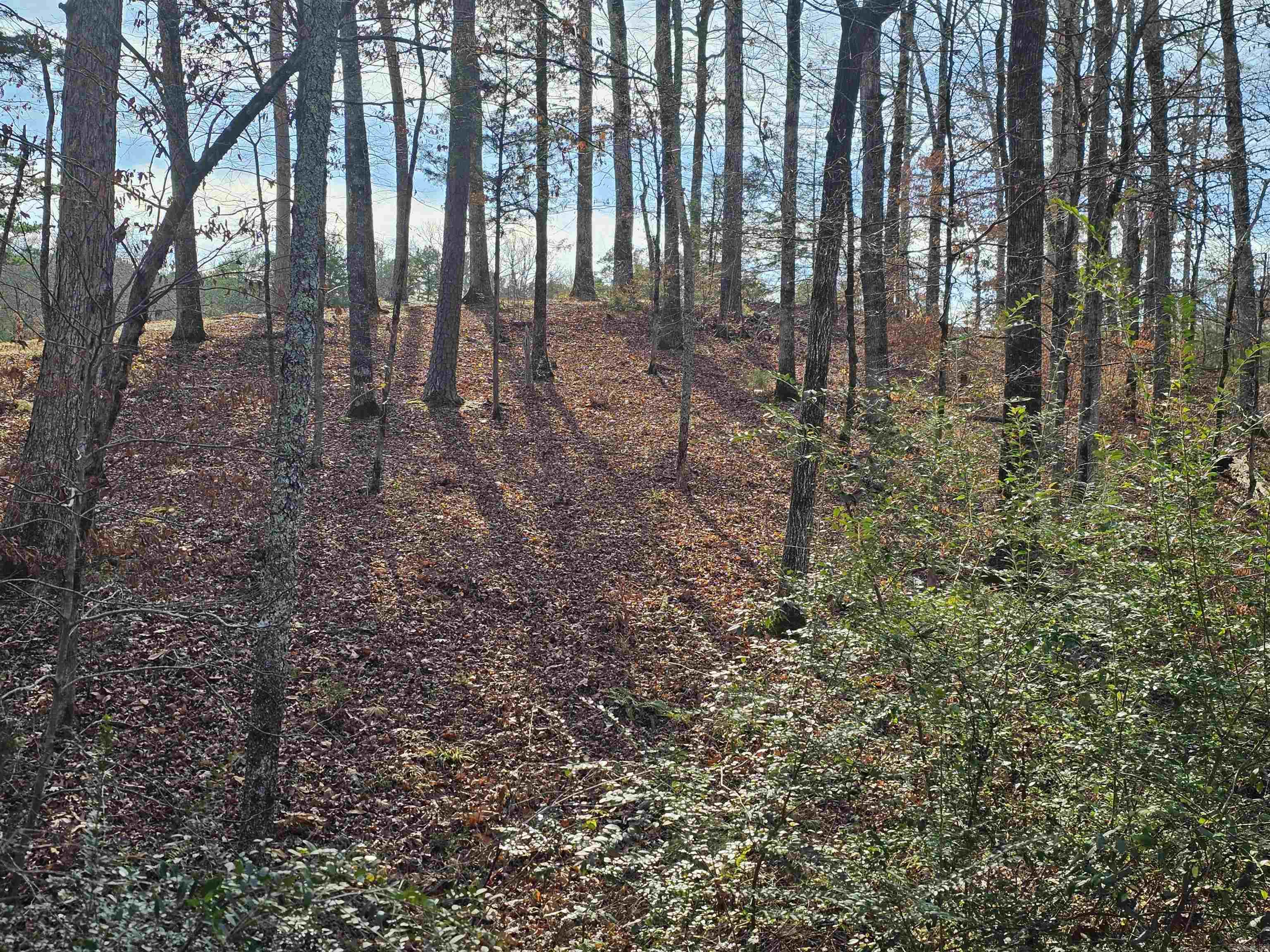 4 Reclamo  Hot Springs Village, AR