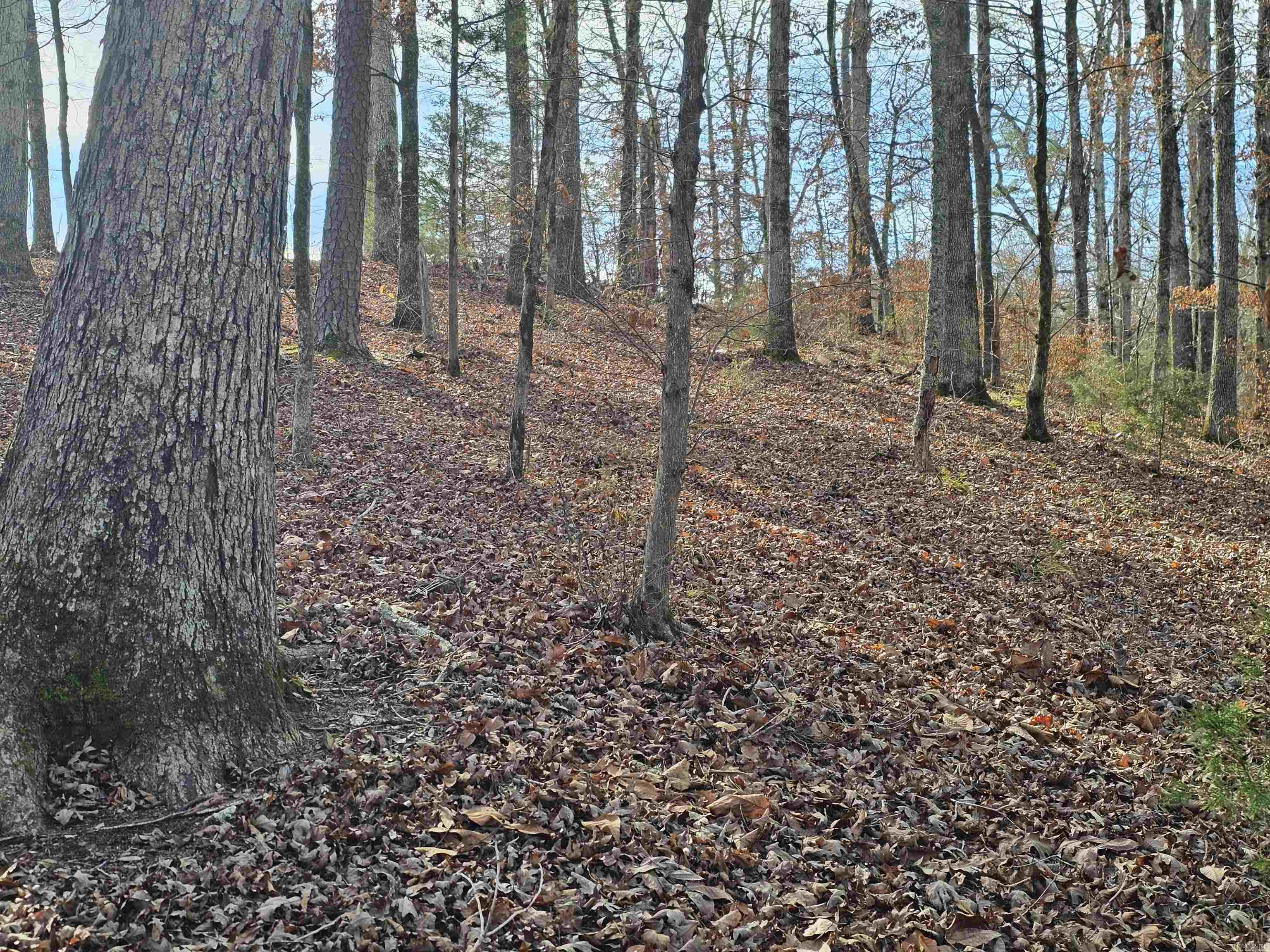 4 Reclamo  Hot Springs Village, AR