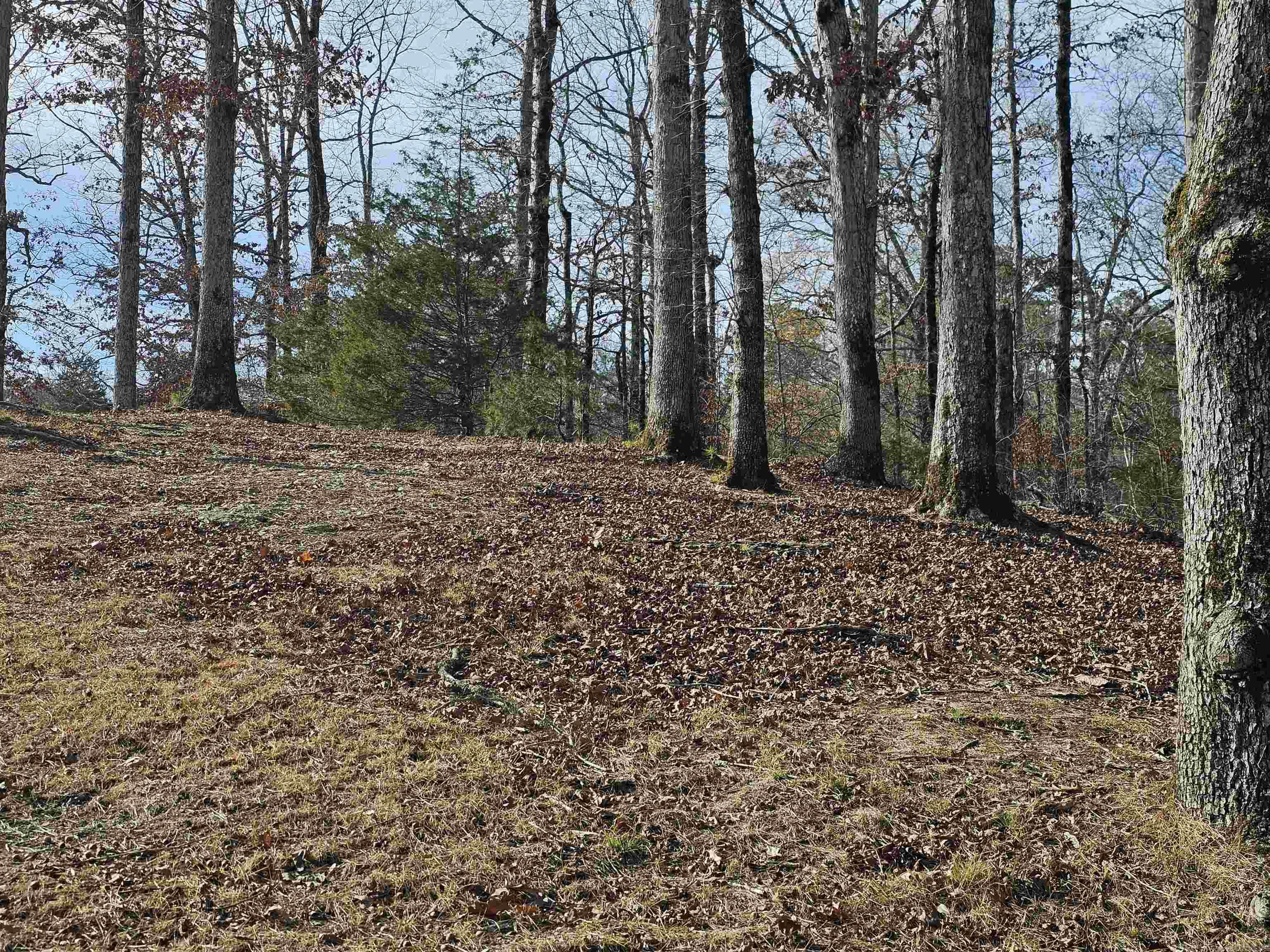 4 Reclamo  Hot Springs Village, AR