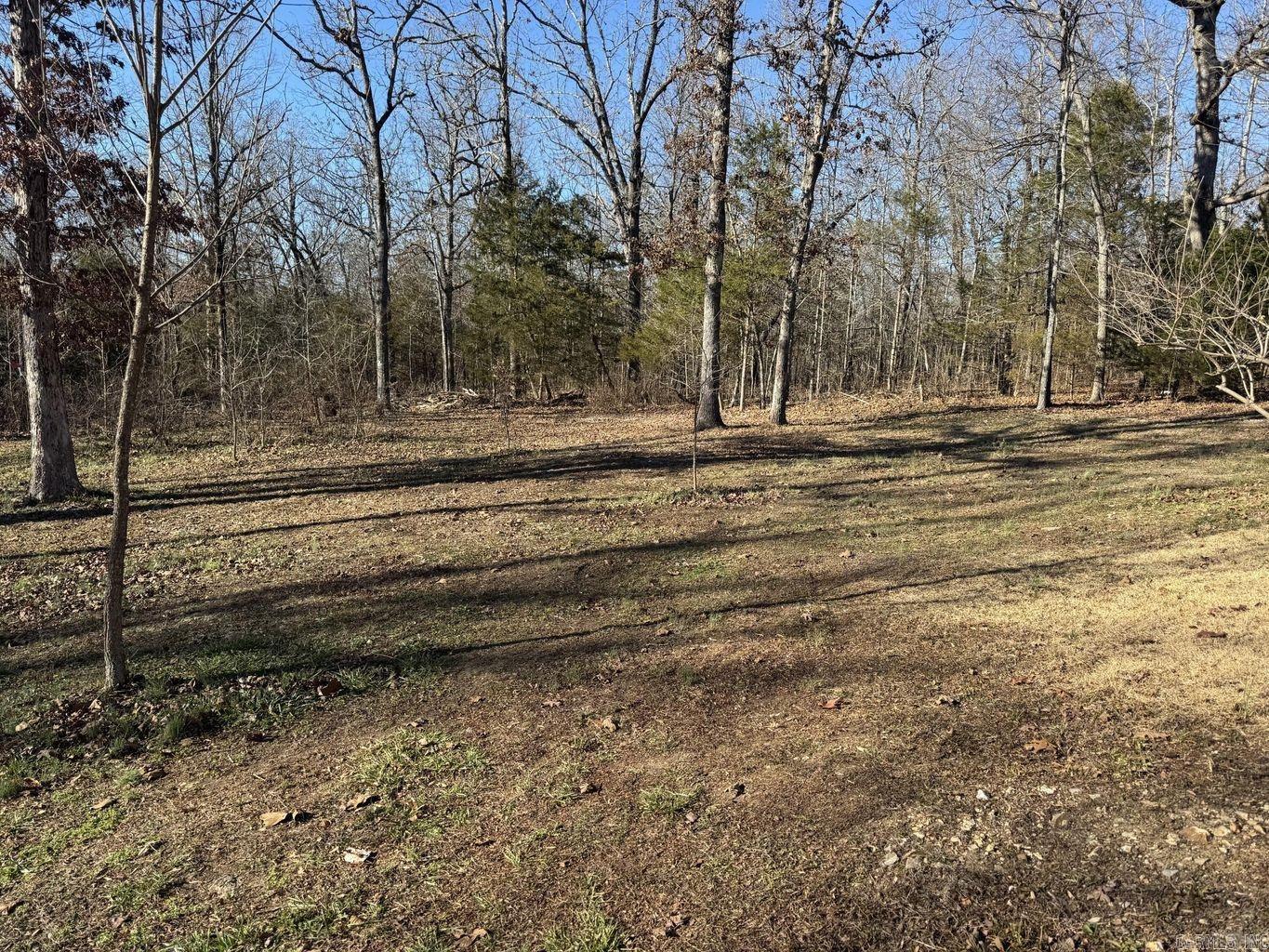 1209 Hawk  Horseshoe Bend, AR