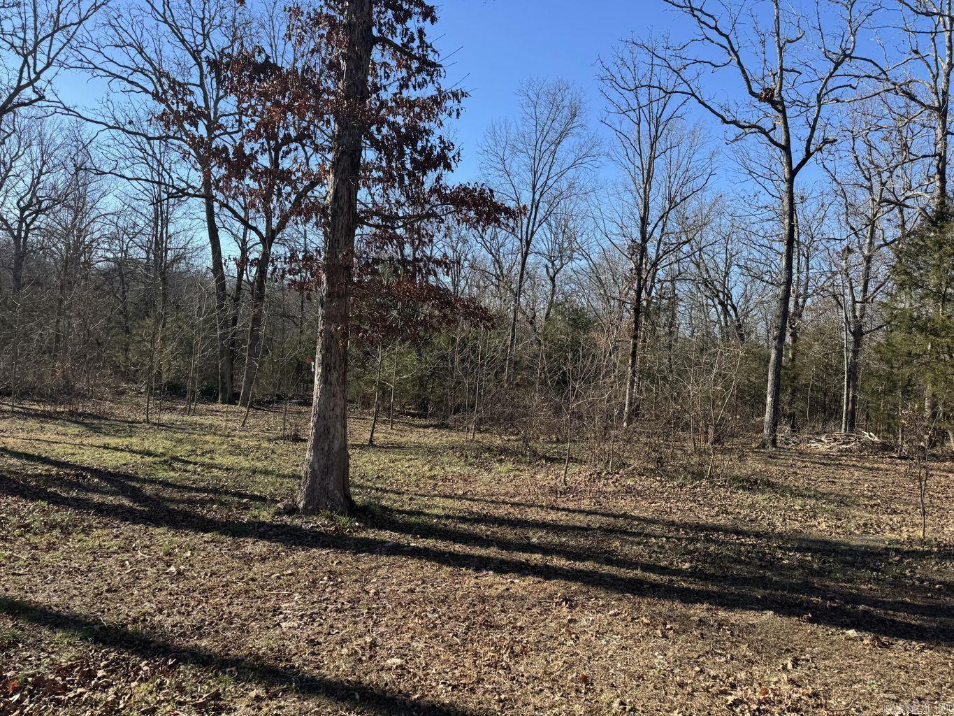 1209 Hawk  Horseshoe Bend, AR