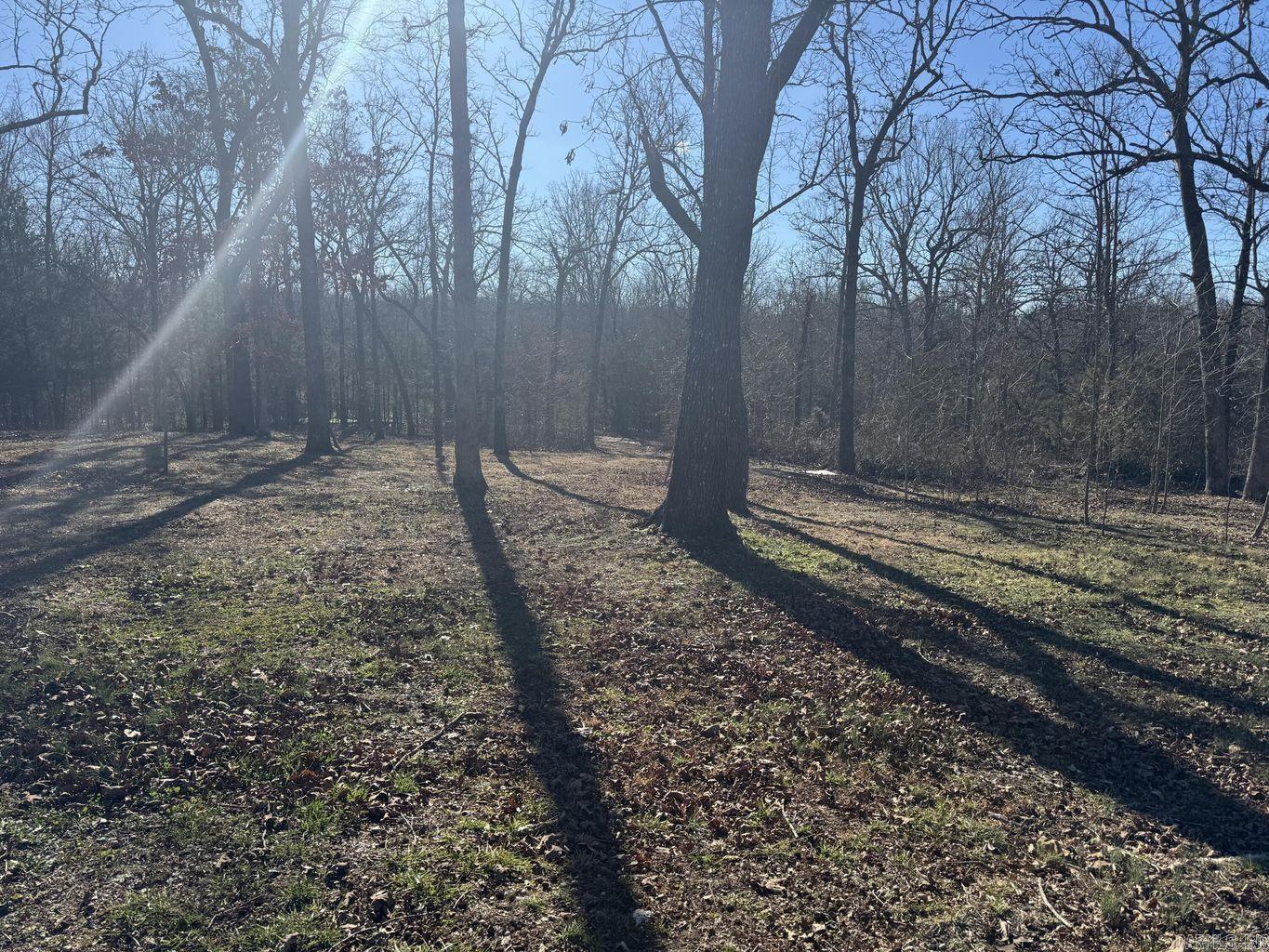 1209 Hawk  Horseshoe Bend, AR