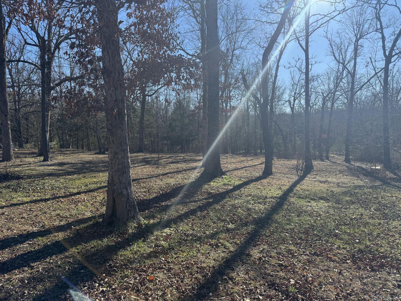 1209 Hawk  Horseshoe Bend, AR