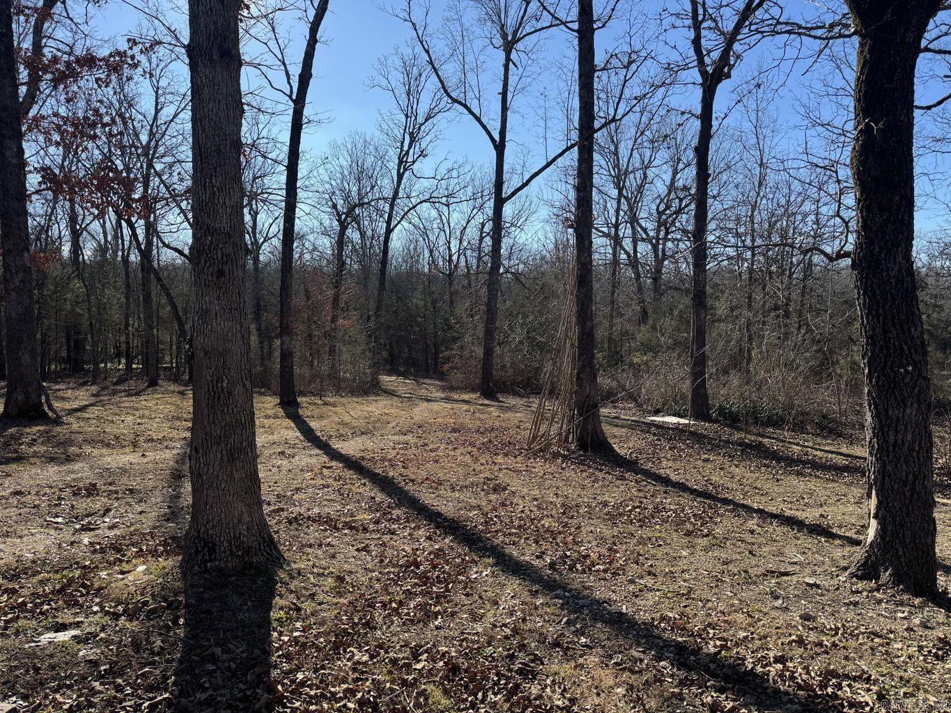 1209 Hawk  Horseshoe Bend, AR