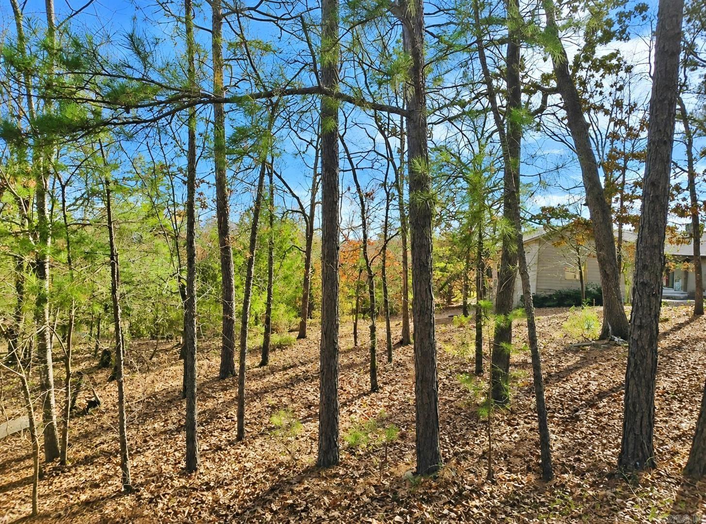 46 Jubileo  Hot Springs Village, AR