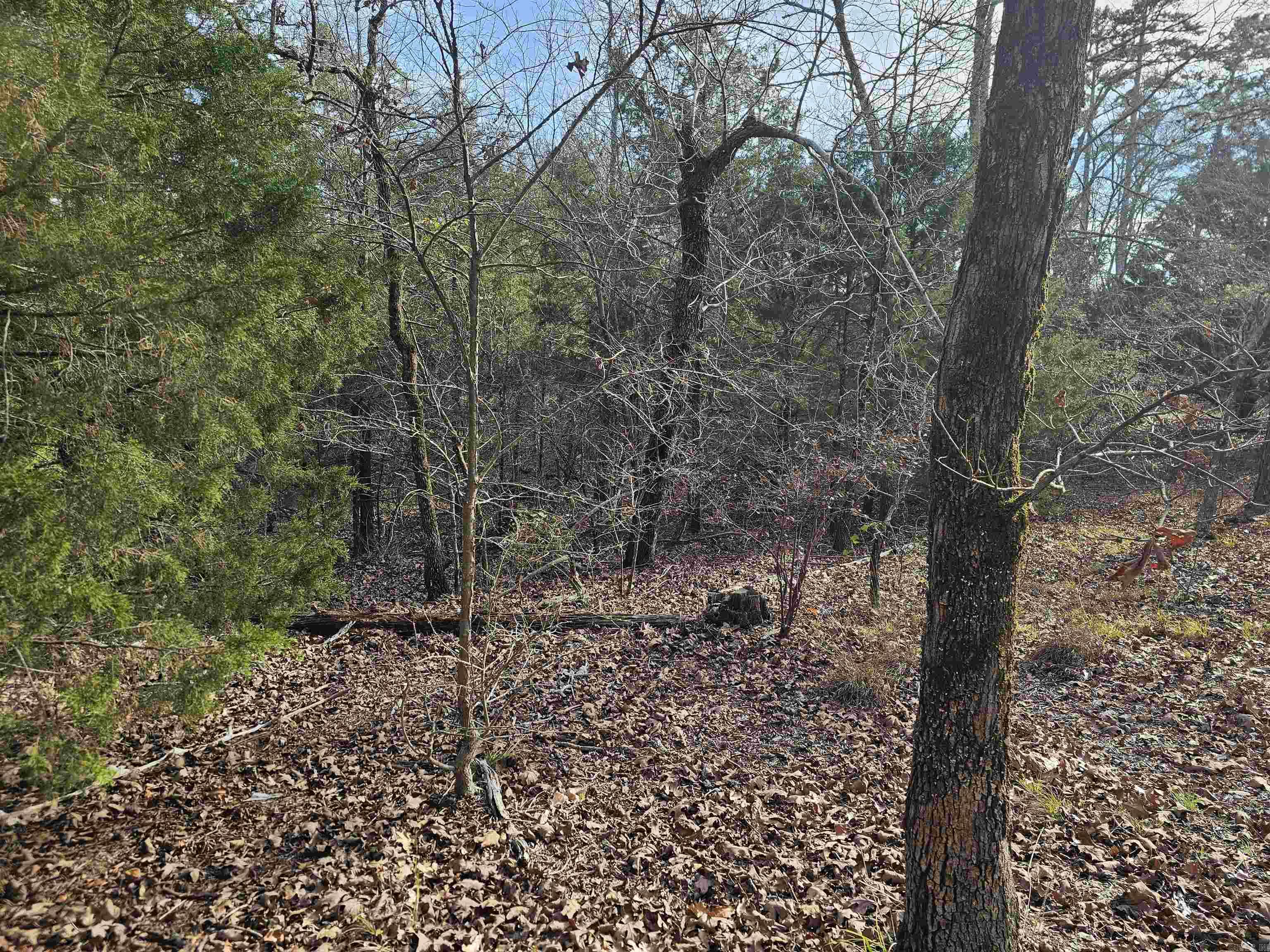 46 Jubileo  Hot Springs Village, AR