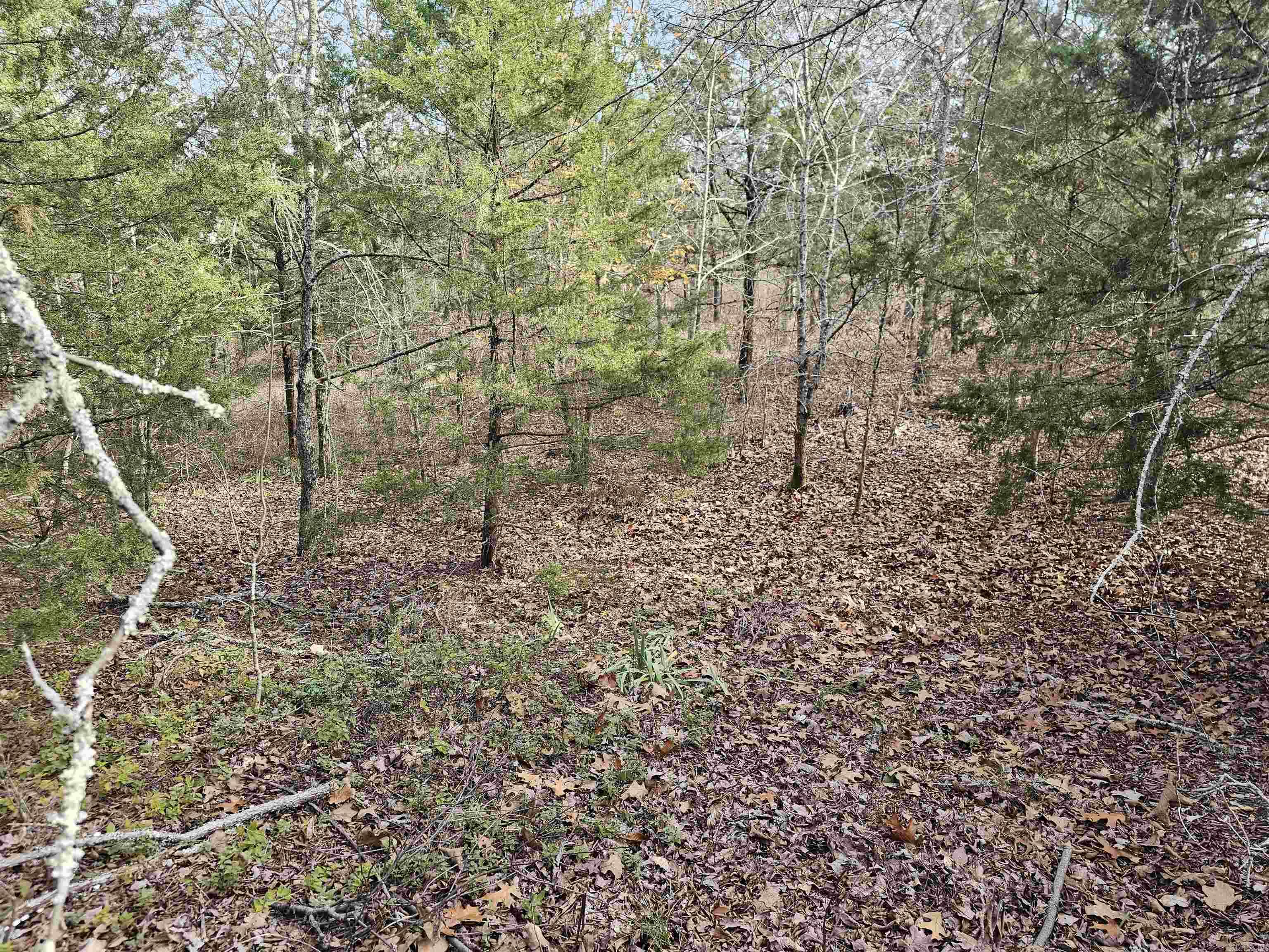 46 Jubileo  Hot Springs Village, AR