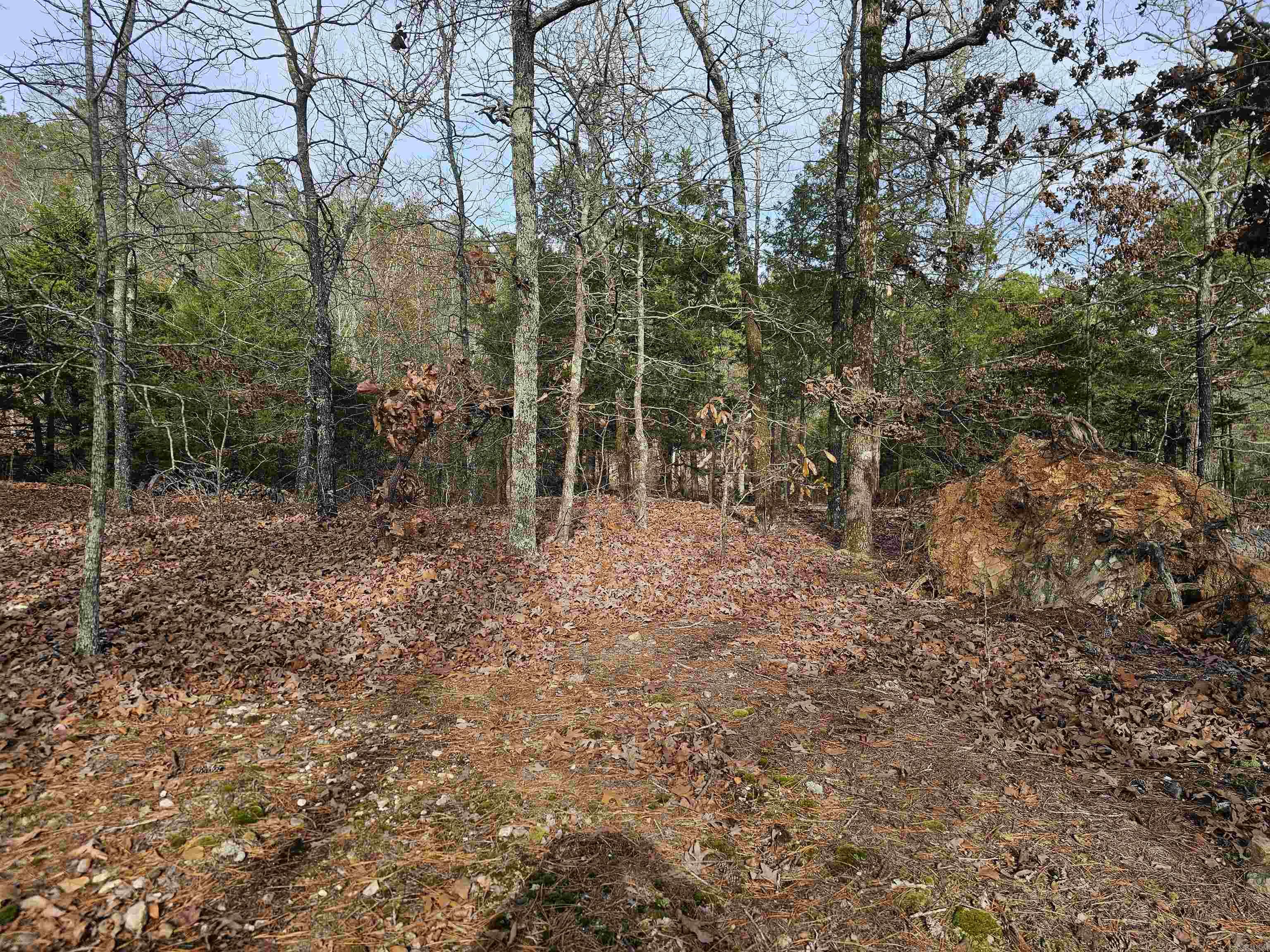 46 Jubileo  Hot Springs Village, AR