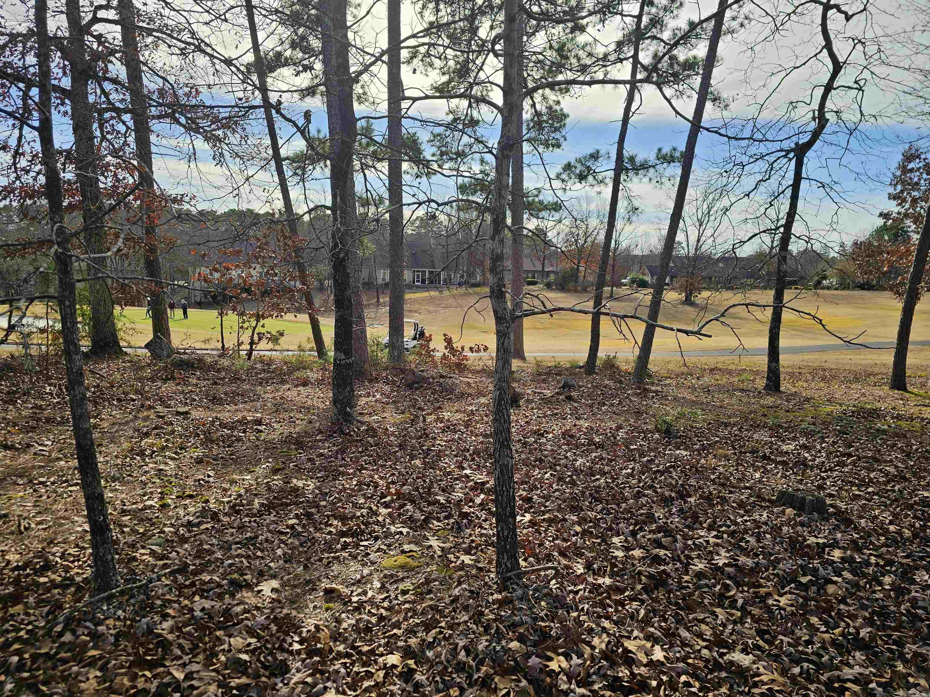 46 Jubileo  Hot Springs Village, AR