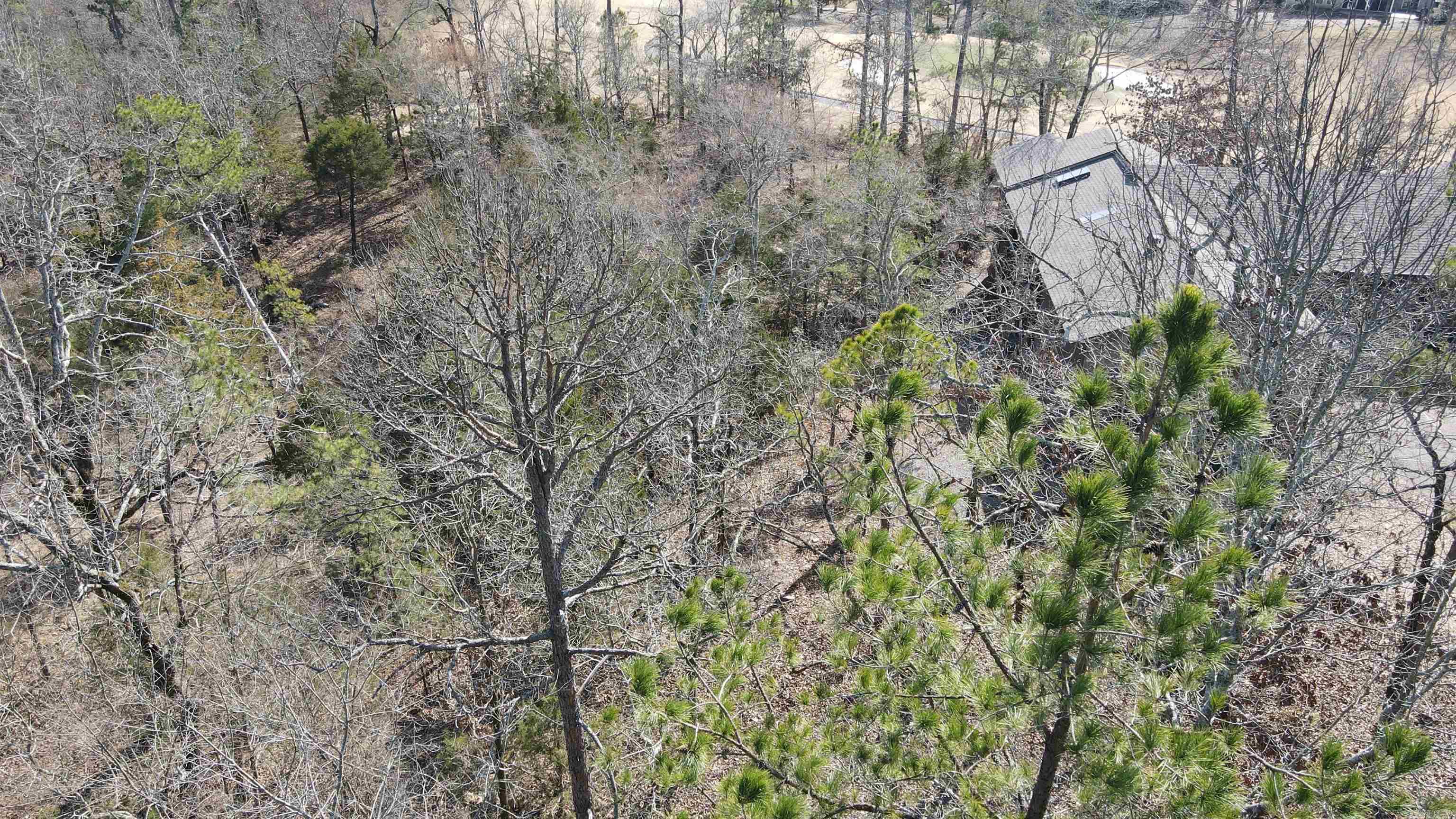 46 Jubileo  Hot Springs Village, AR