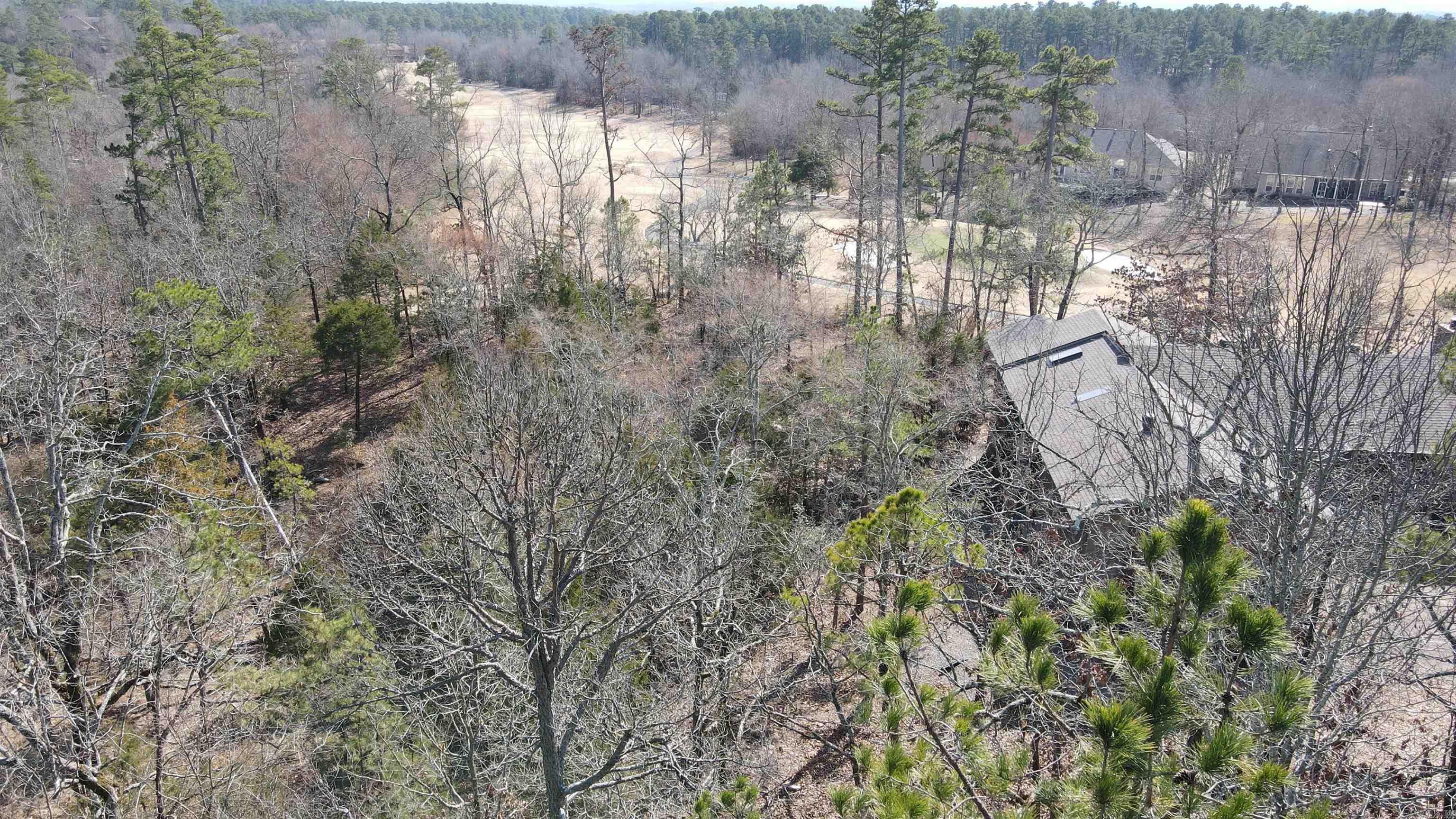 46 Jubileo  Hot Springs Village, AR